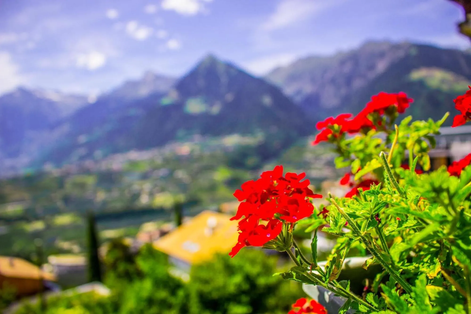 Staff in Schenna Garni Eden Bed & Breakfast