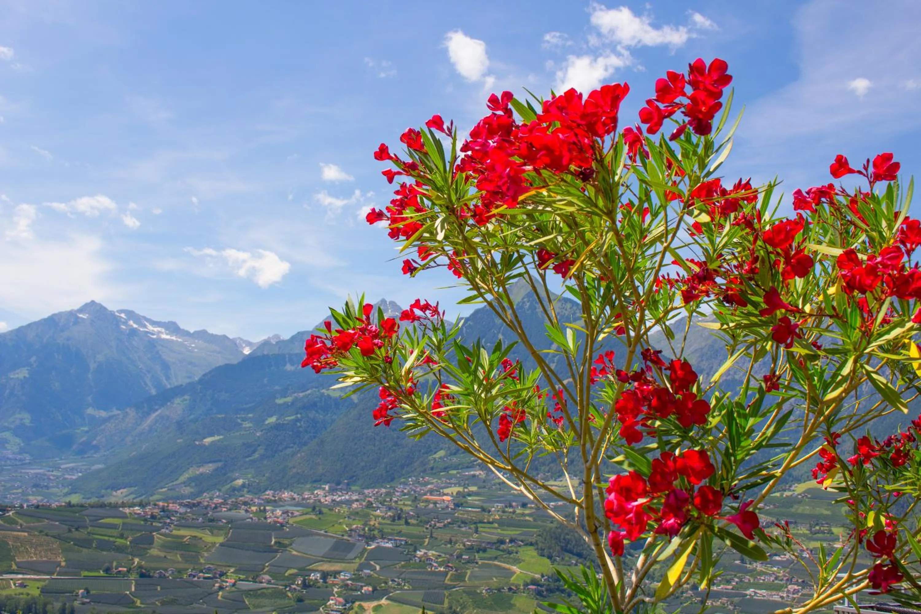 Property building in Schenna Garni Eden Bed & Breakfast