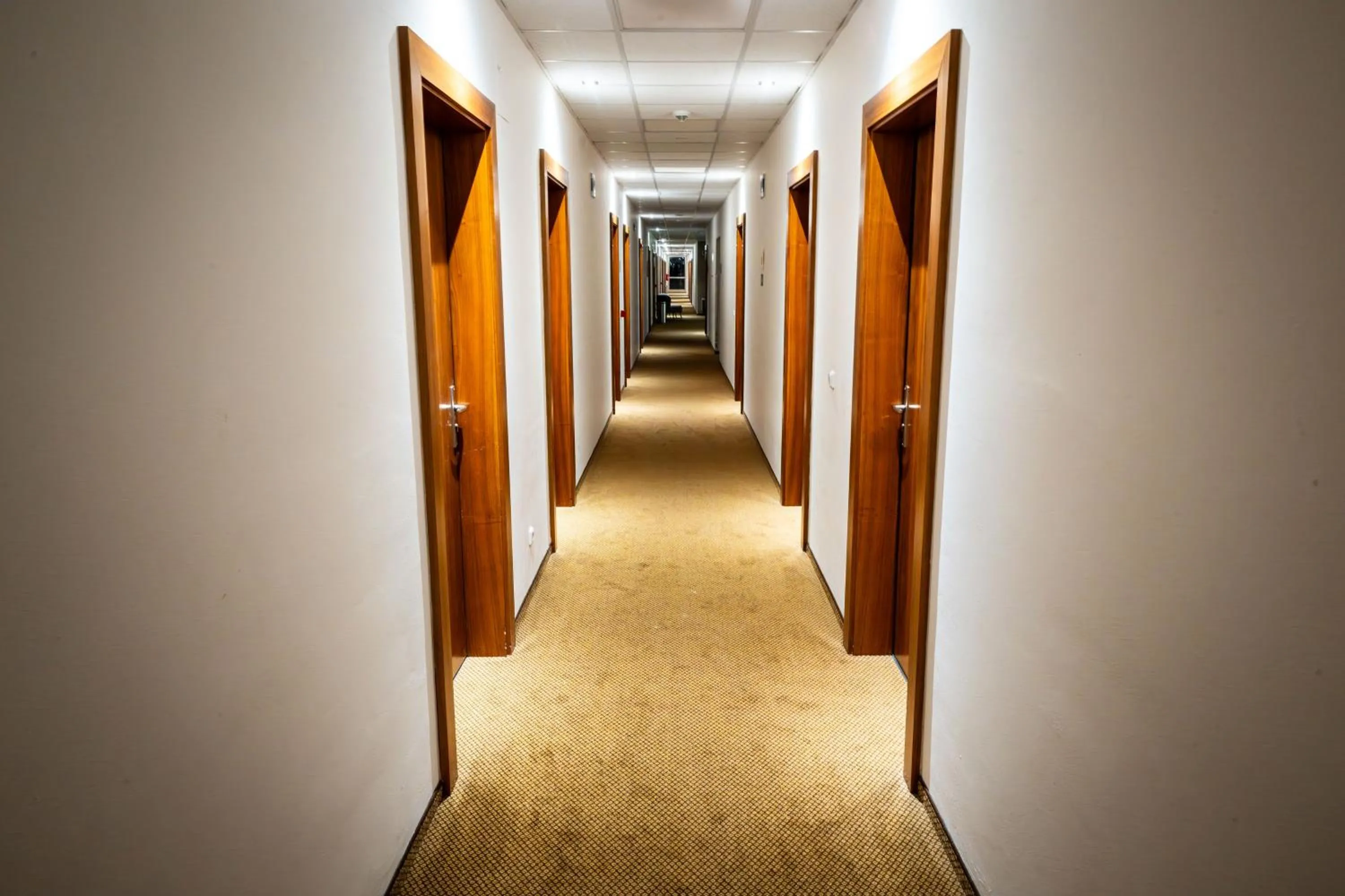 acessibility in Hotel Opava - free parking