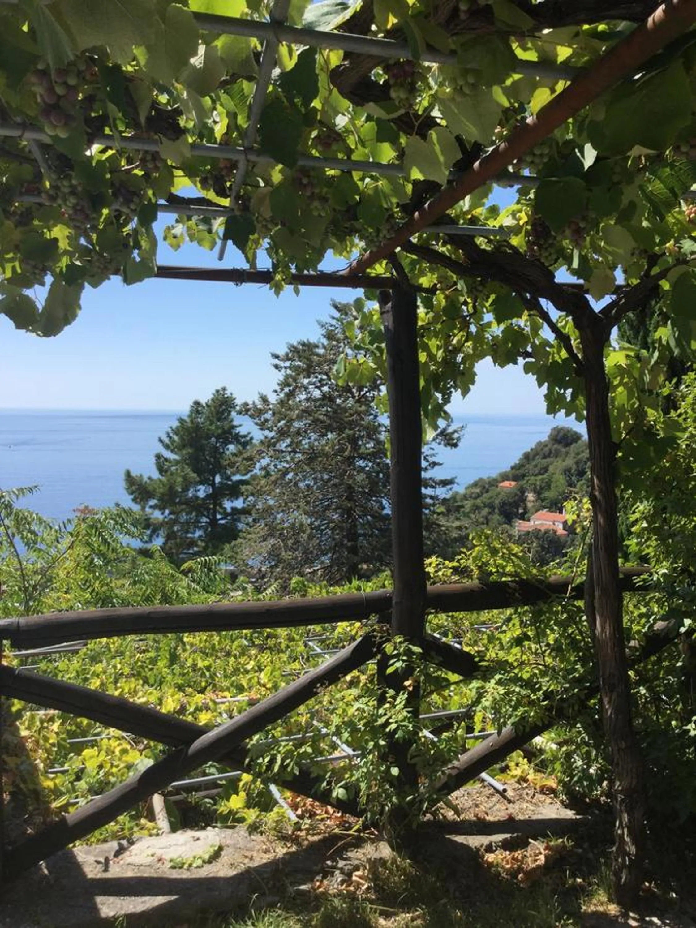 Day in B&B Le Tre Casette