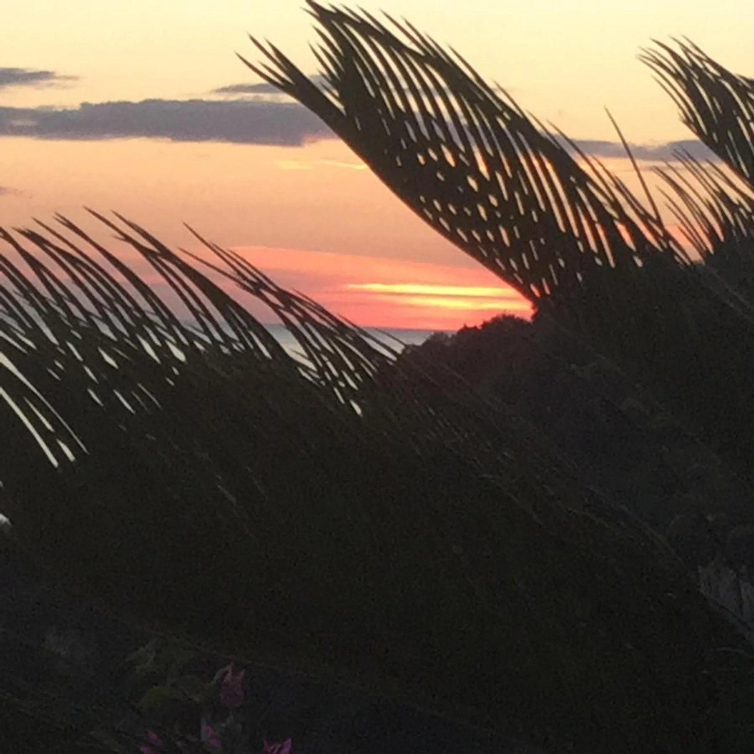 Natural landscape in B&B Le Tre Casette