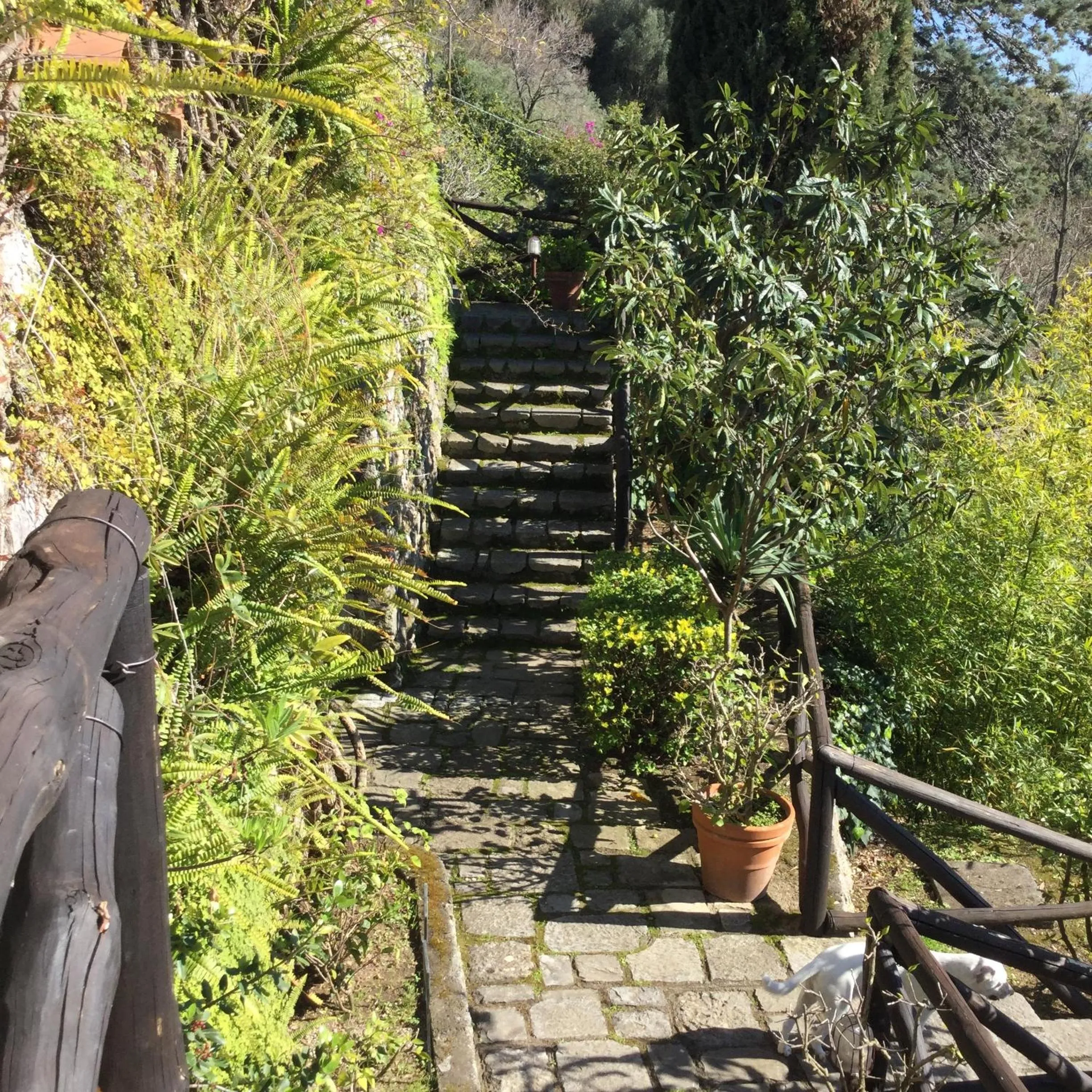 Day in B&B Le Tre Casette