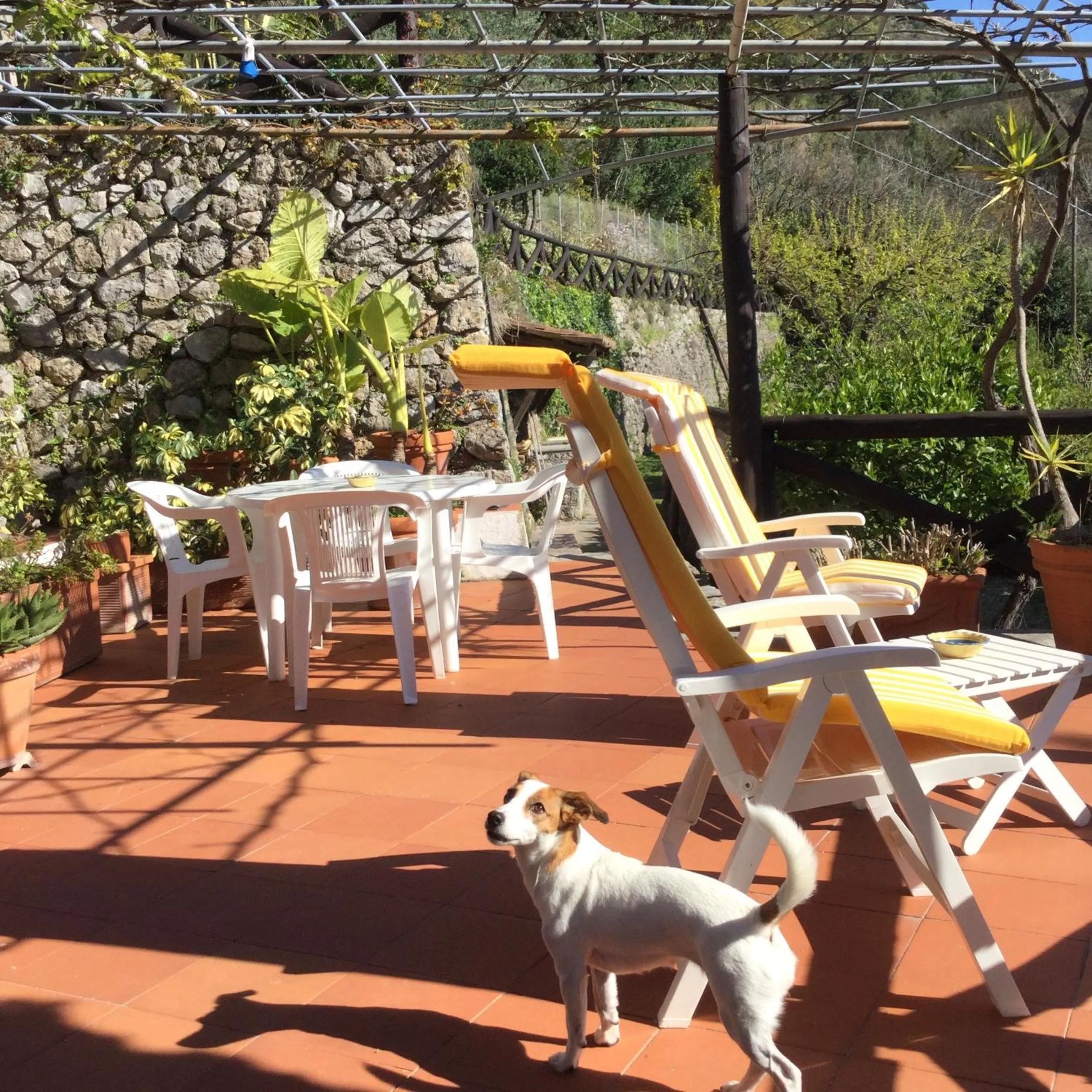 Patio in B&B Le Tre Casette