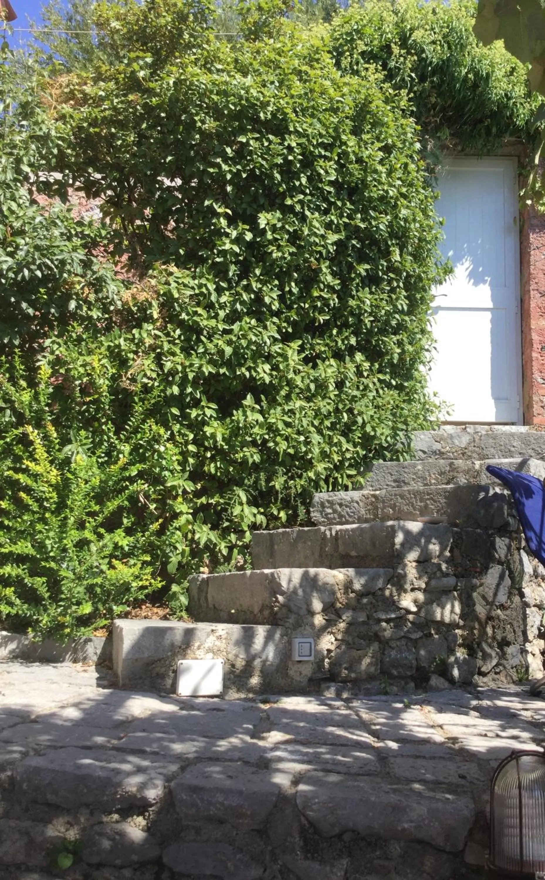 Day in B&B Le Tre Casette