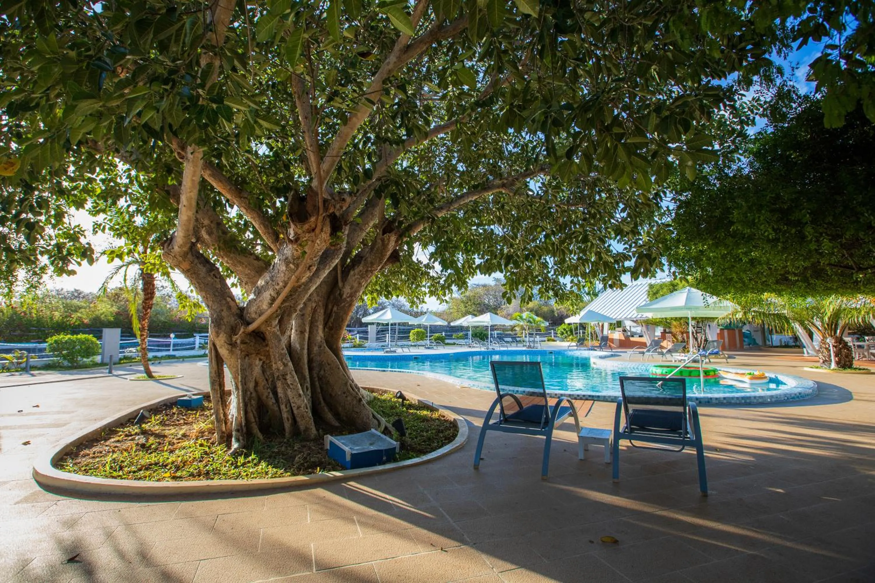 Swimming pool in Mantasaly Resort