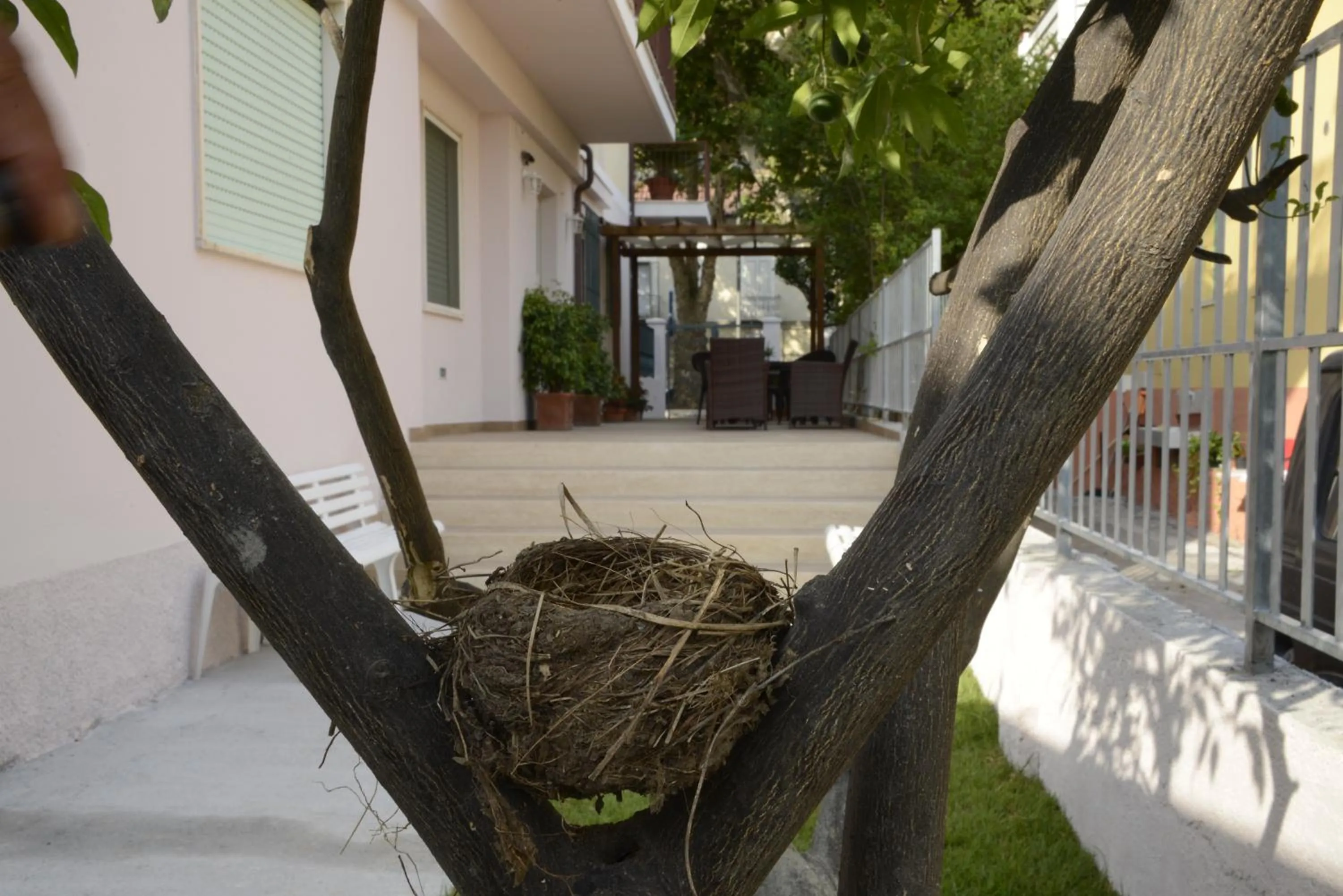 Garden in B&B Villa degli Angeli