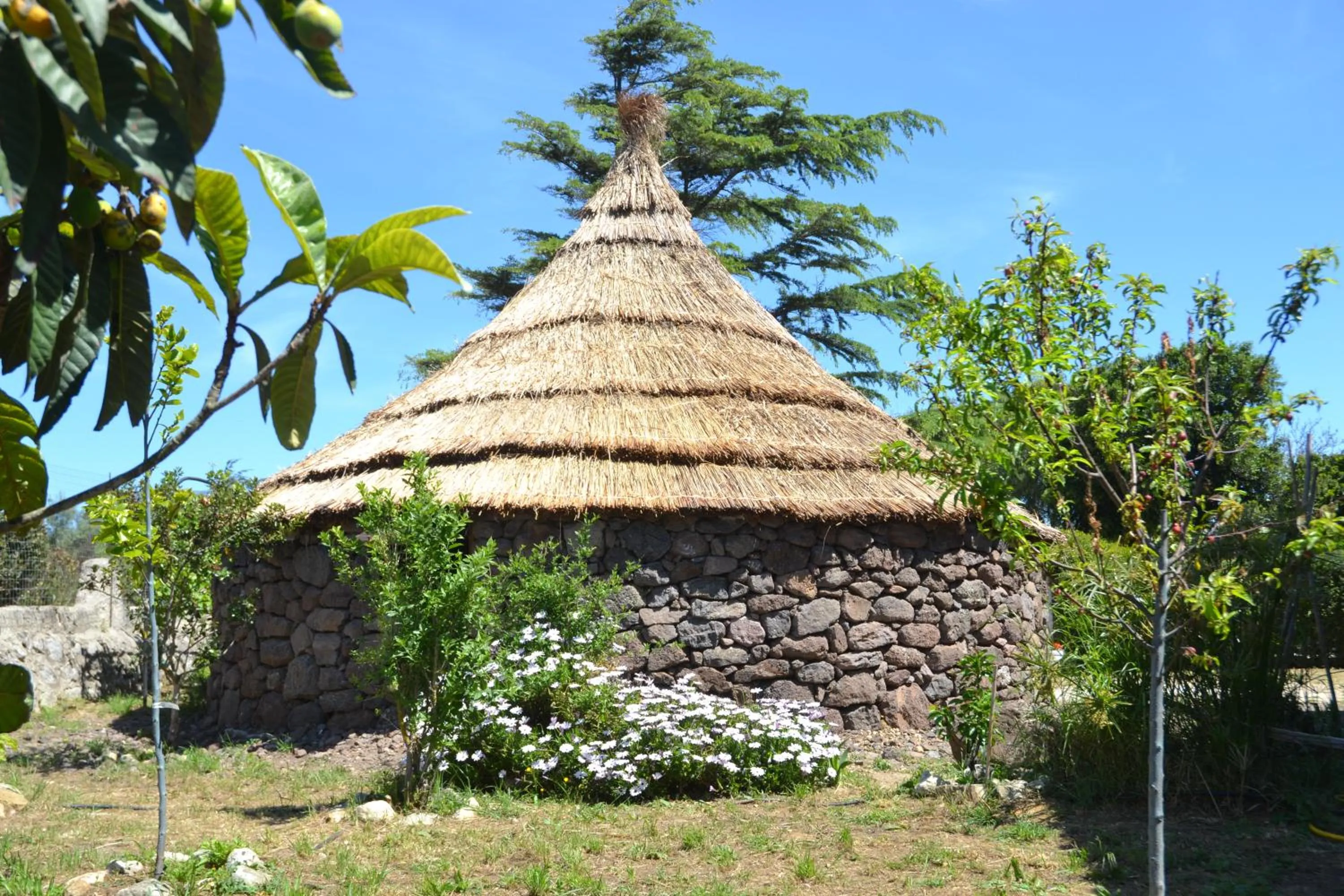 Photo of the whole room in B&B Antica Botte Sassari