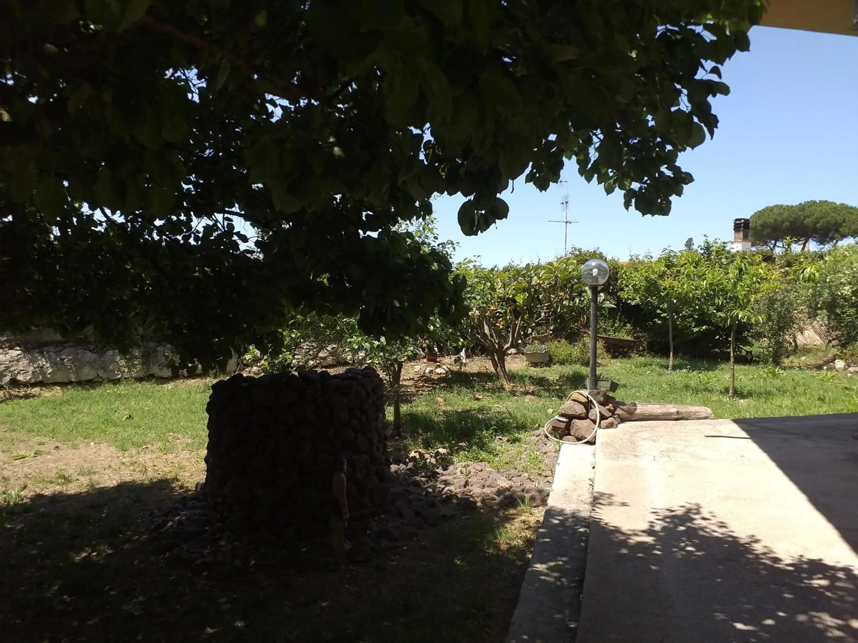 Garden in B&B Antica Botte Sassari