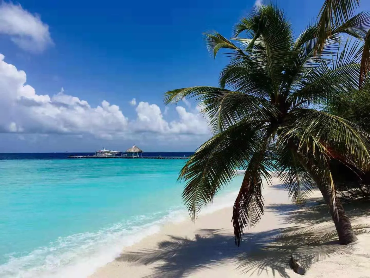 Natural landscape in Eriyadu Island Resort