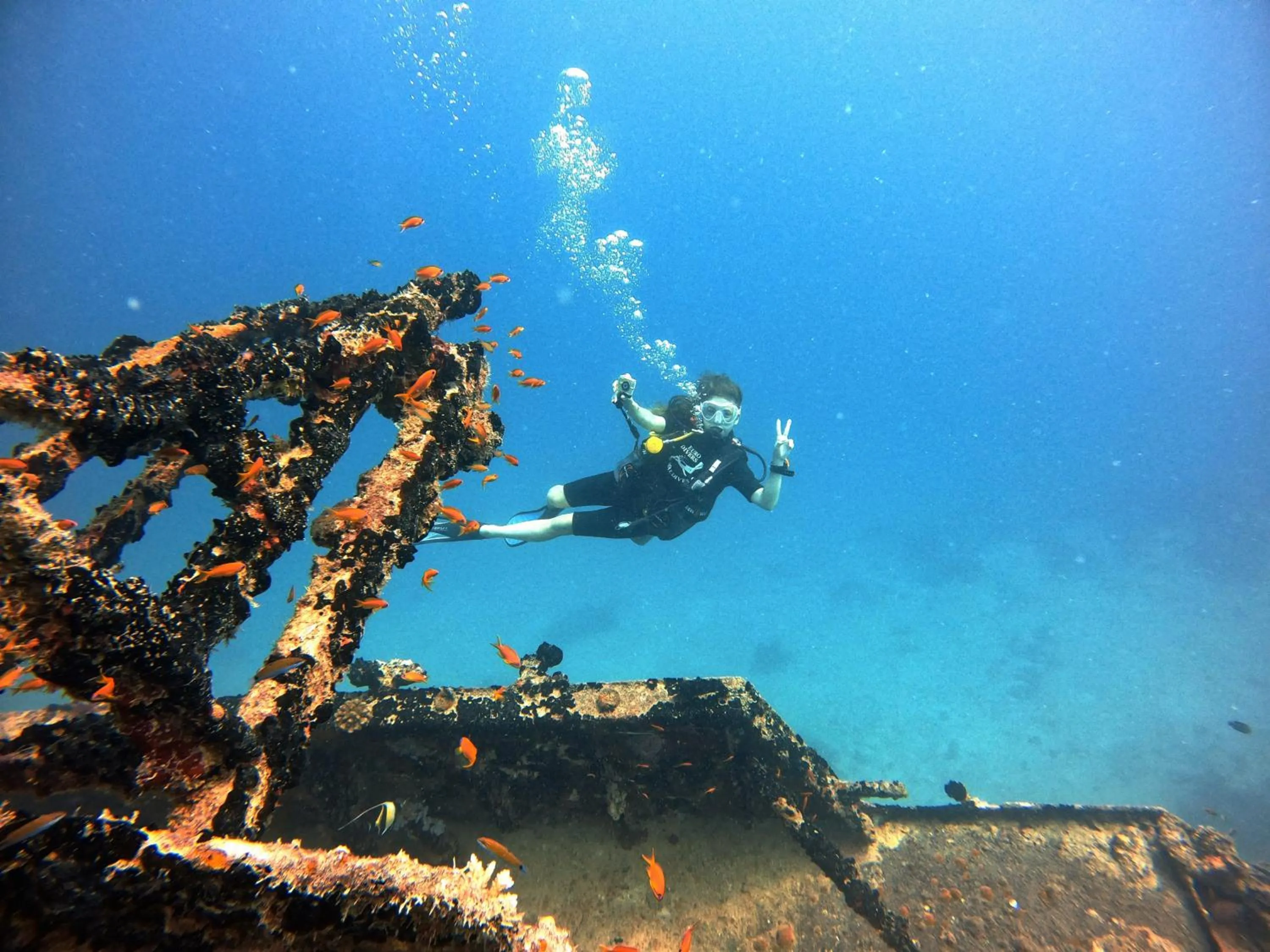 Diving in Eriyadu Island Resort