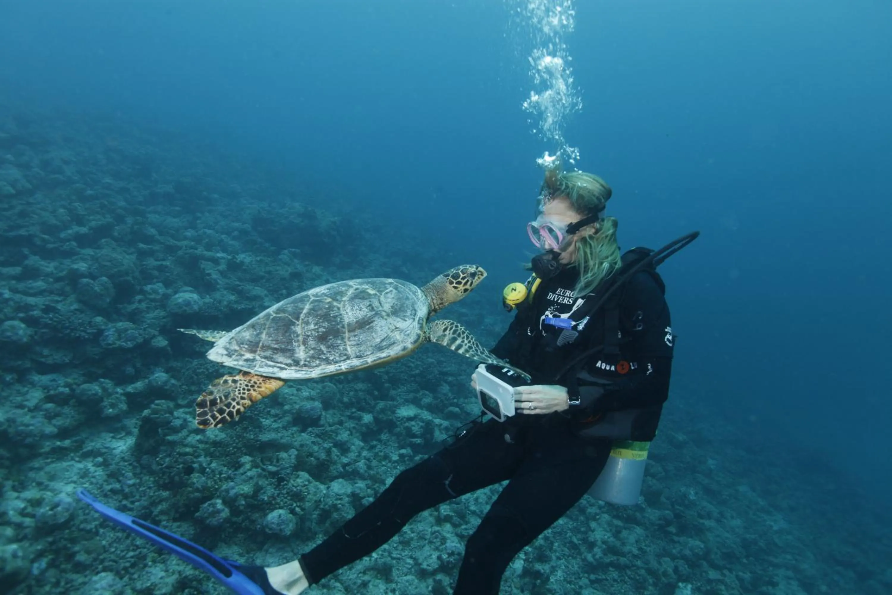 Diving in Eriyadu Island Resort