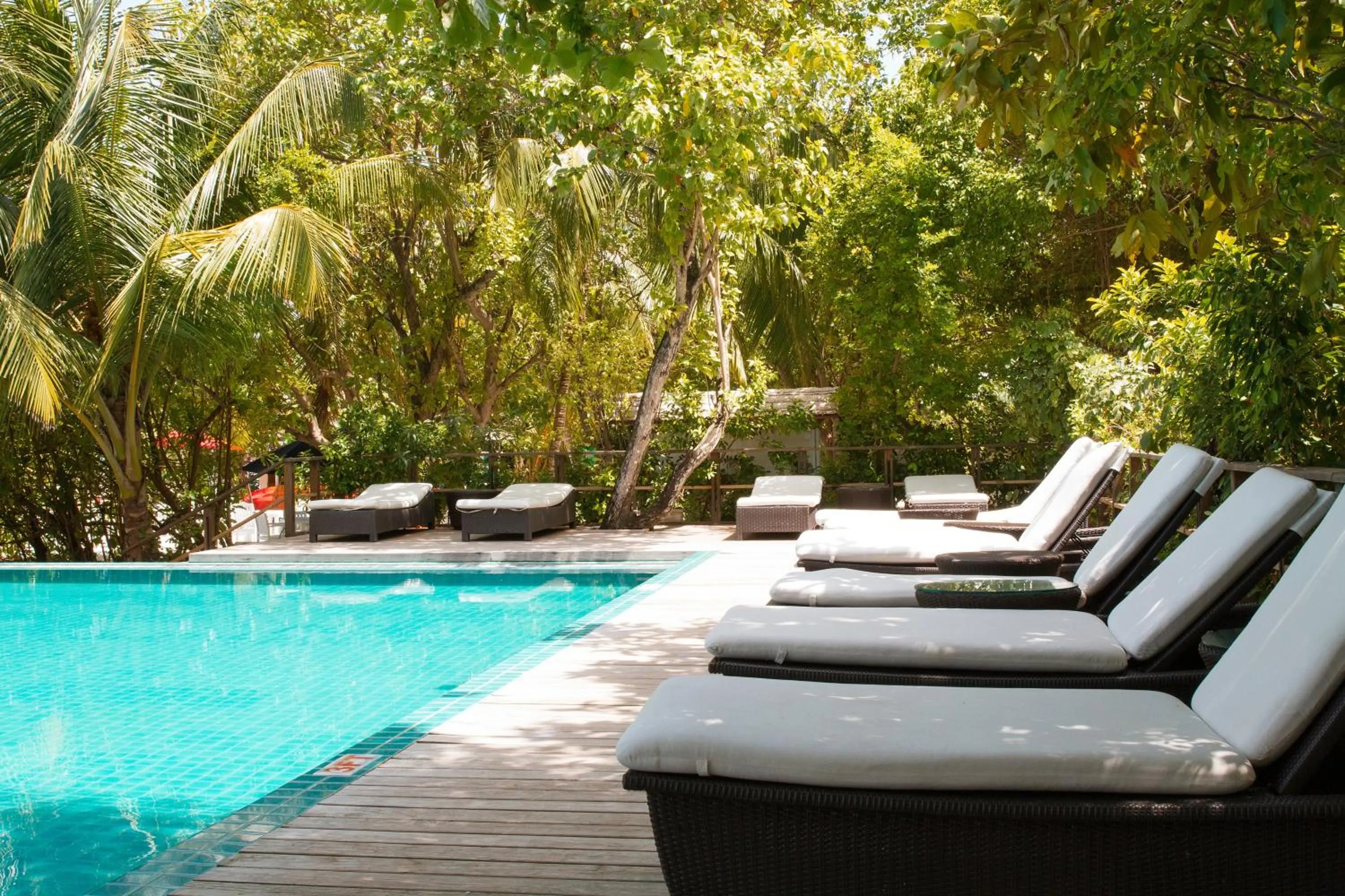 Swimming pool in Eriyadu Island Resort