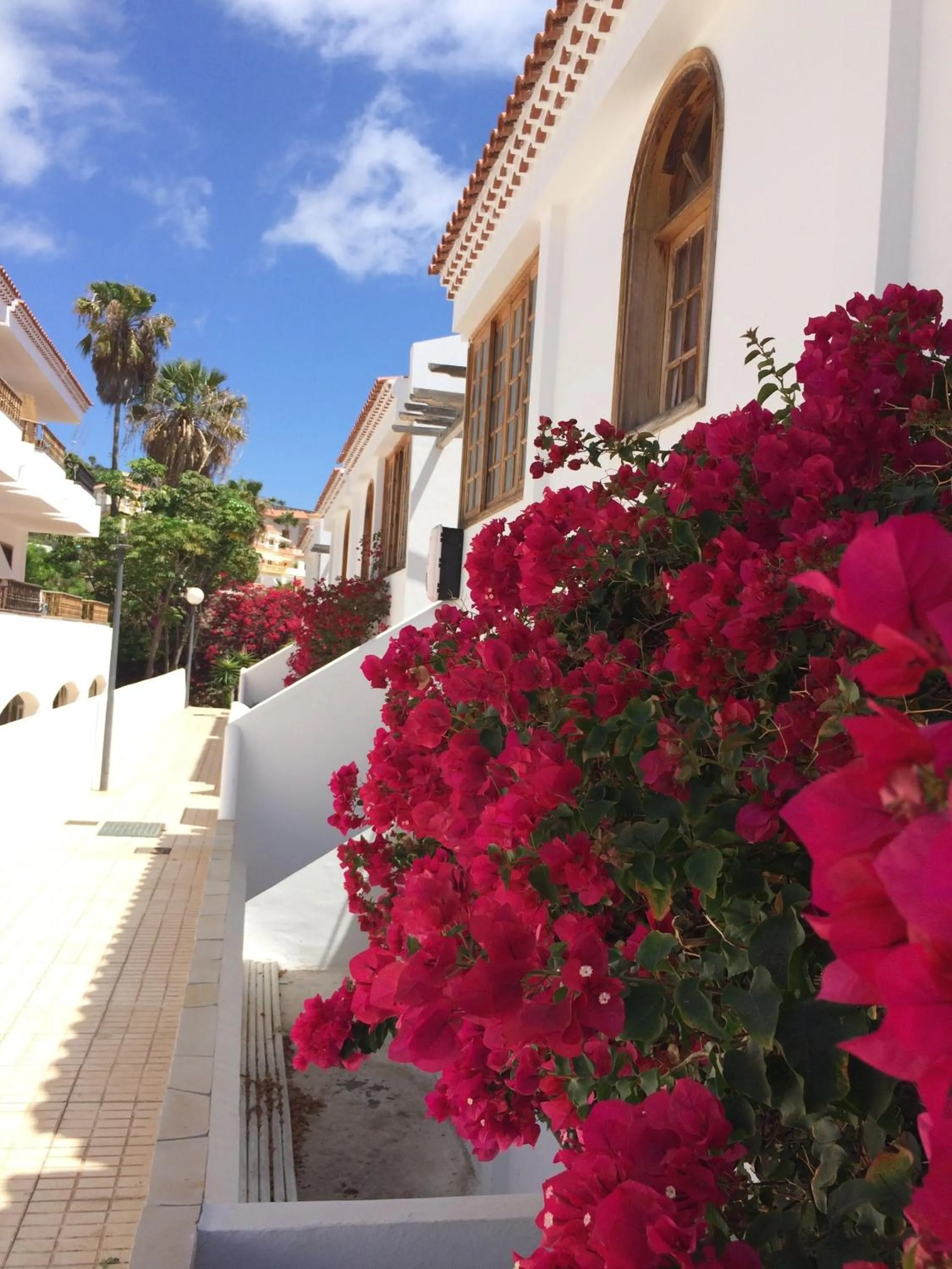 Property building in Apartamento Avitan