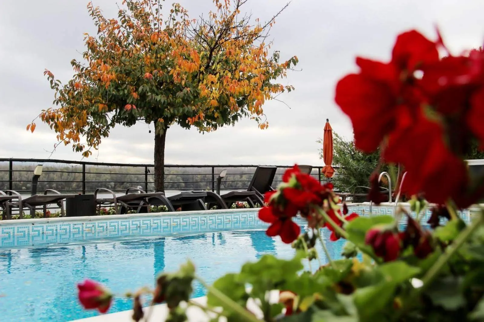 Swimming pool in Guest House Panorama Aqualux with Free Parking