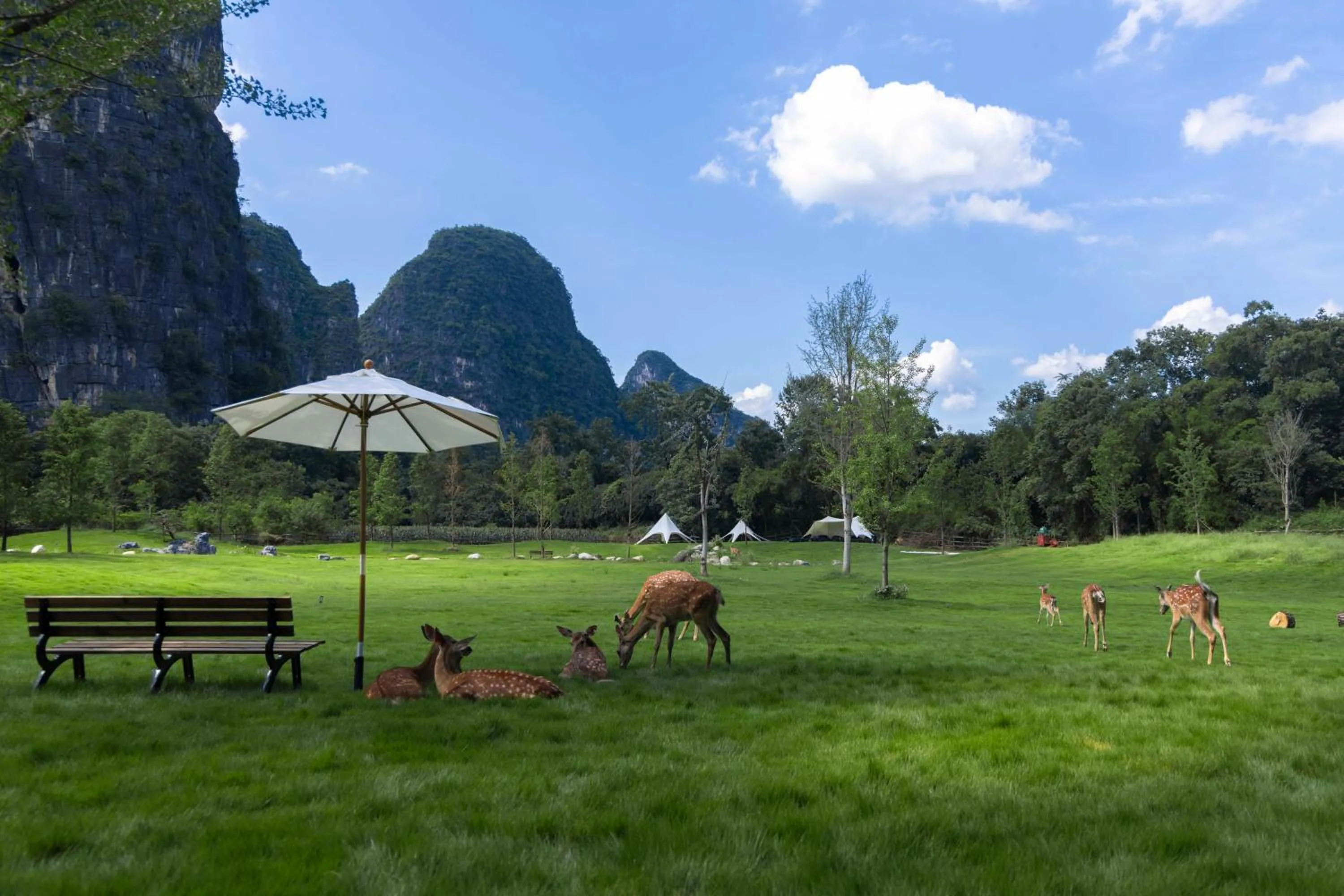 Day in YINGMAN HOTEL