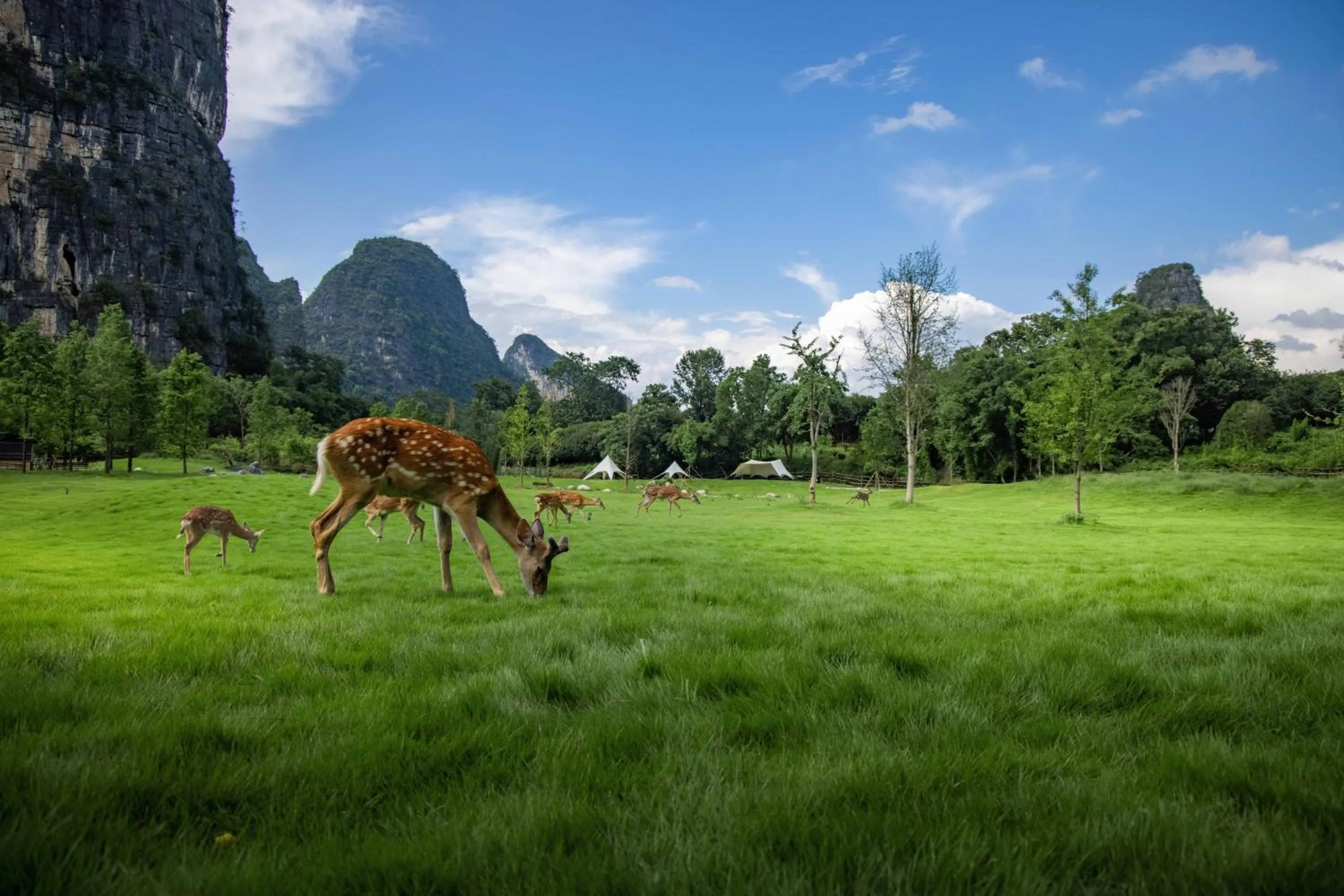 Natural landscape in YINGMAN HOTEL
