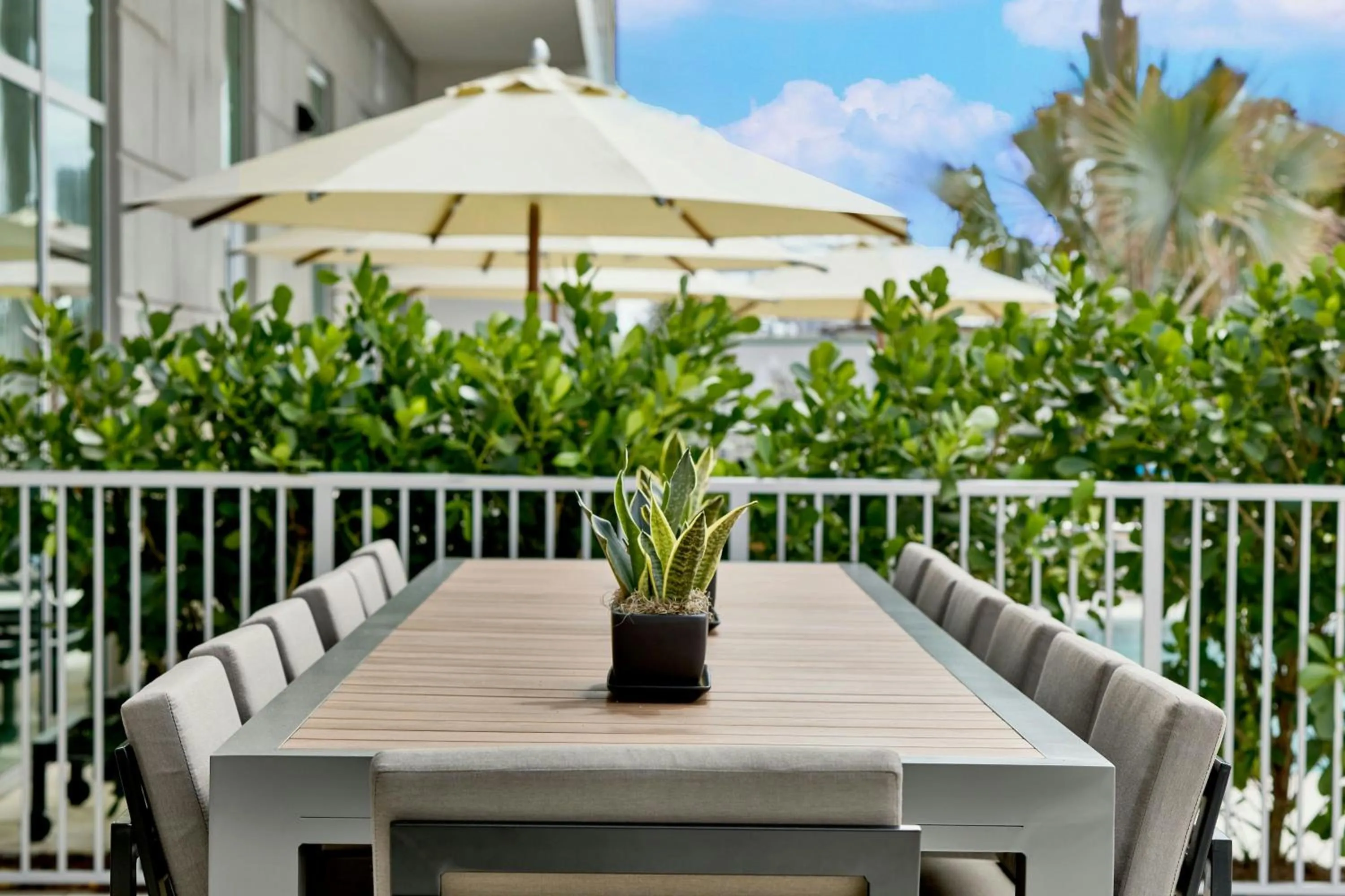 Other in AC Hotel St Augustine Downtown