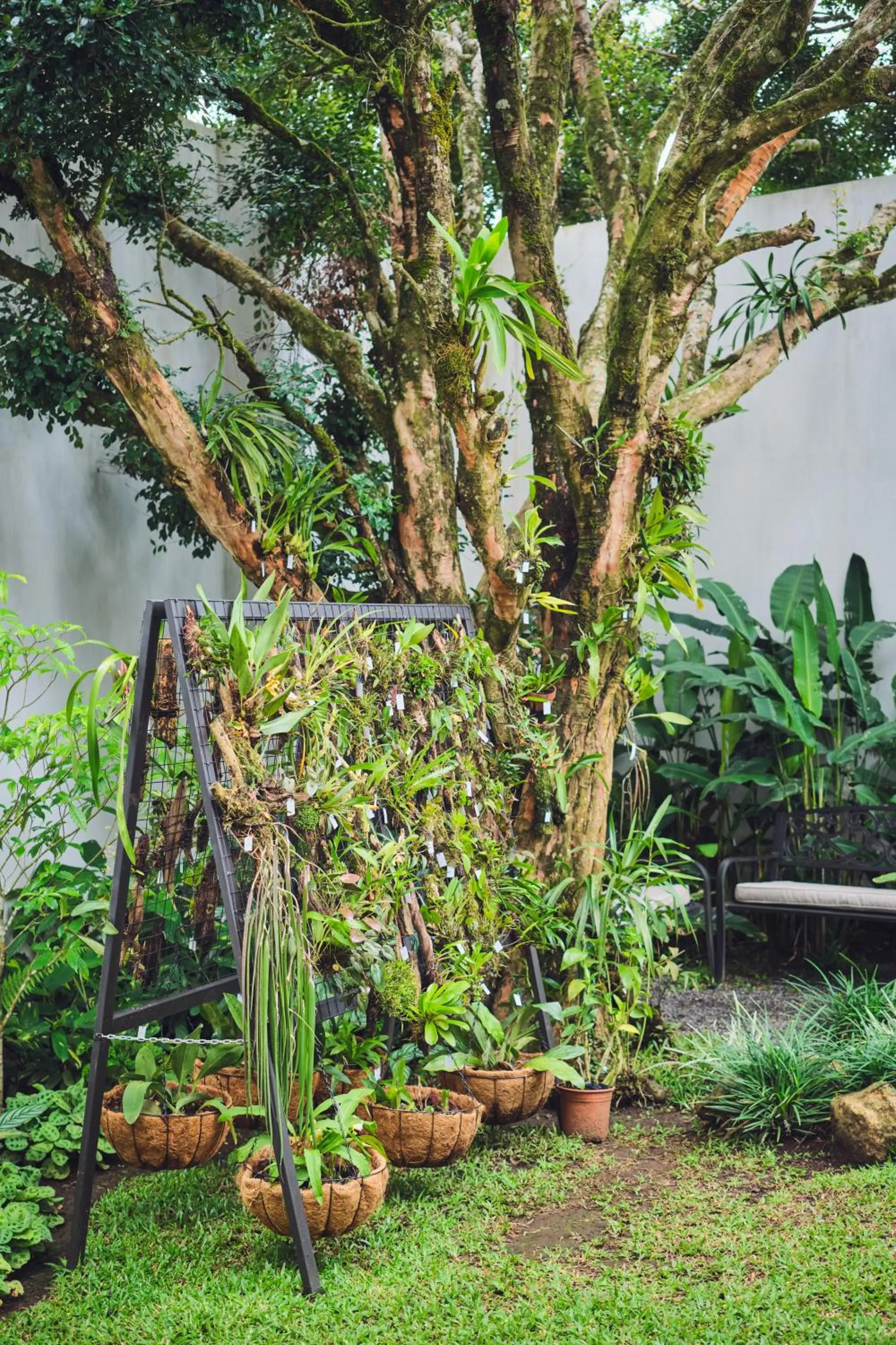 Garden in Ocotea Boutique Hotel