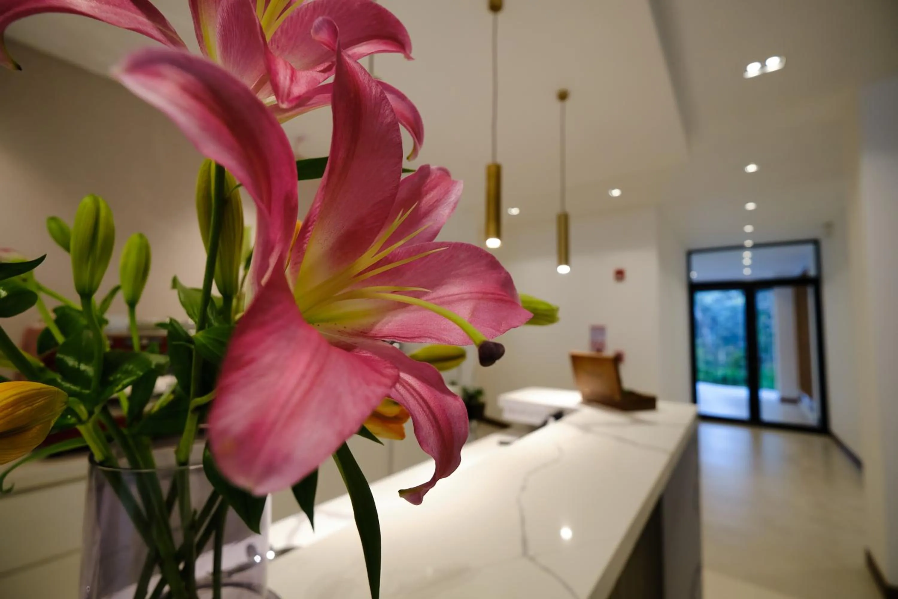 Restaurant/places to eat in Ocotea Boutique Hotel