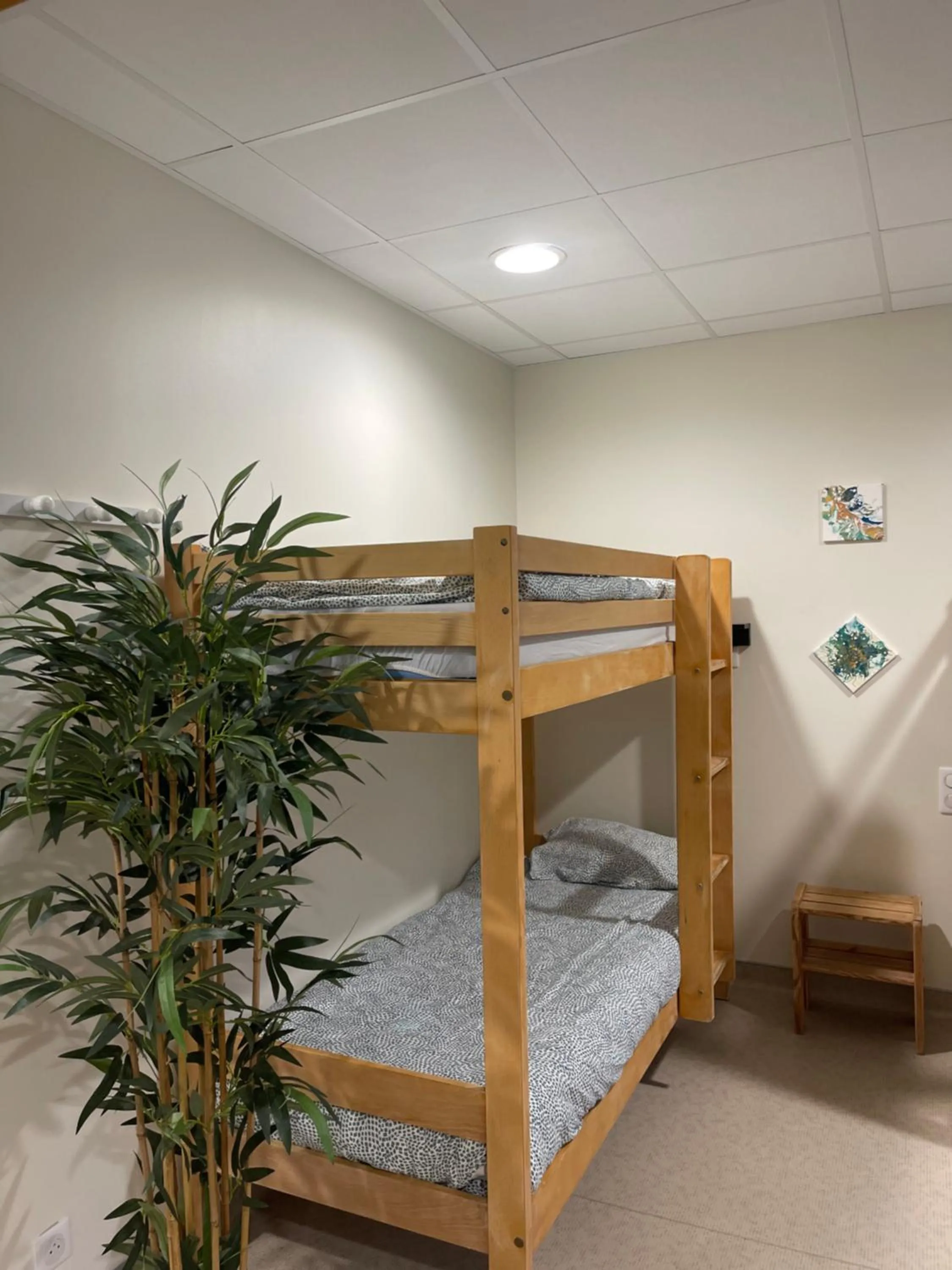 bunk bed in CLLCM - Club Leo Lagrange de Camaret-sur-Mer