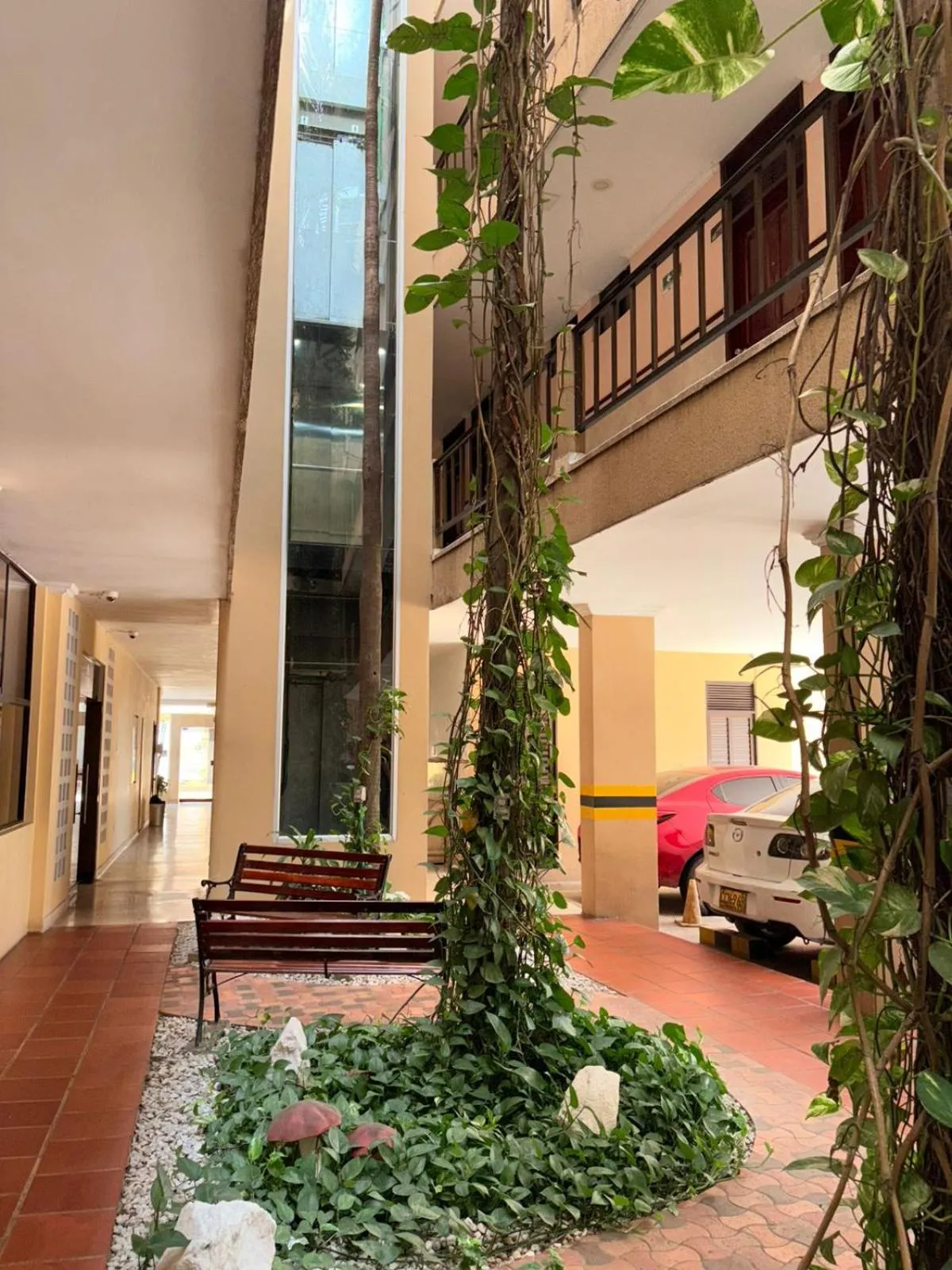 Garden, Bed in Hotel San Francisco