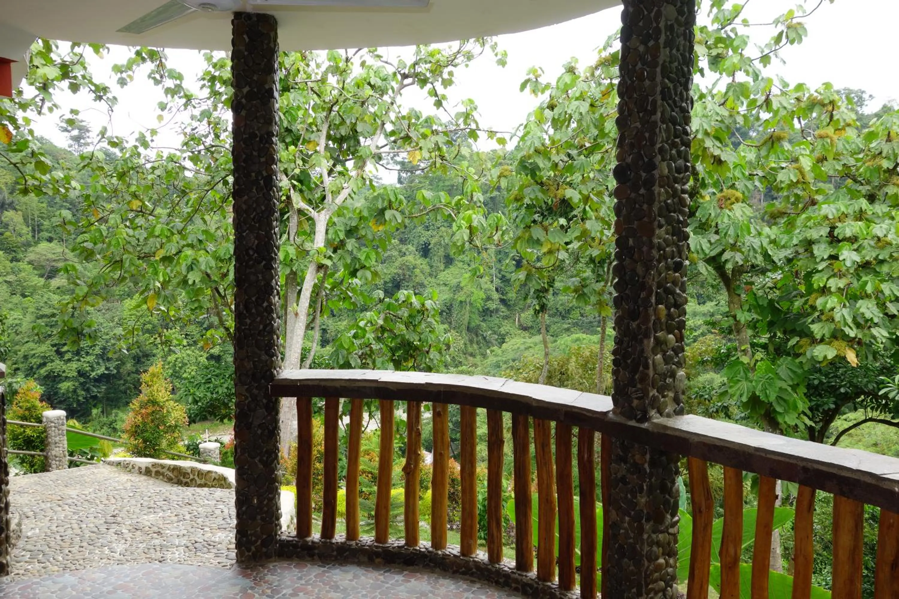 View (from property/room) in Hotel Orangutan