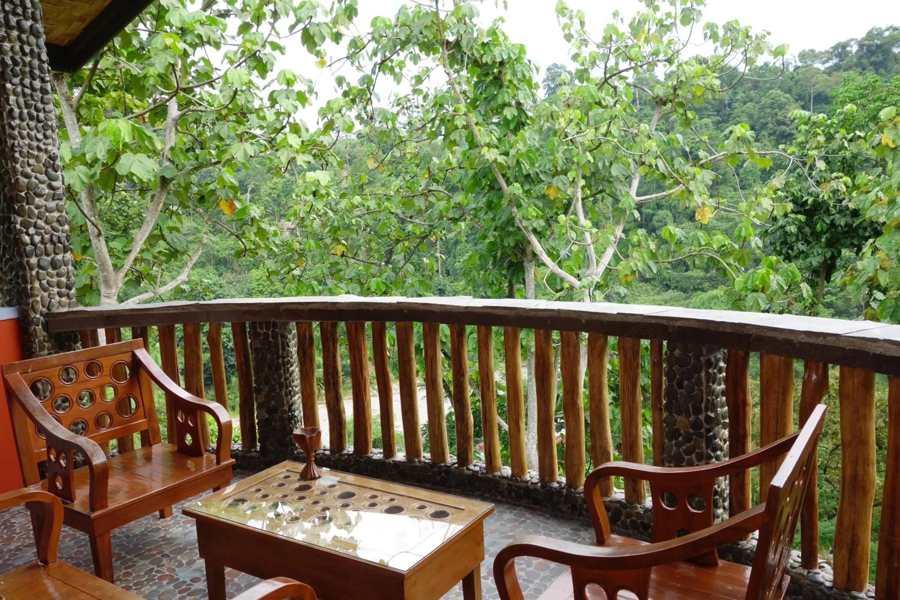 View (from property/room) in Hotel Orangutan