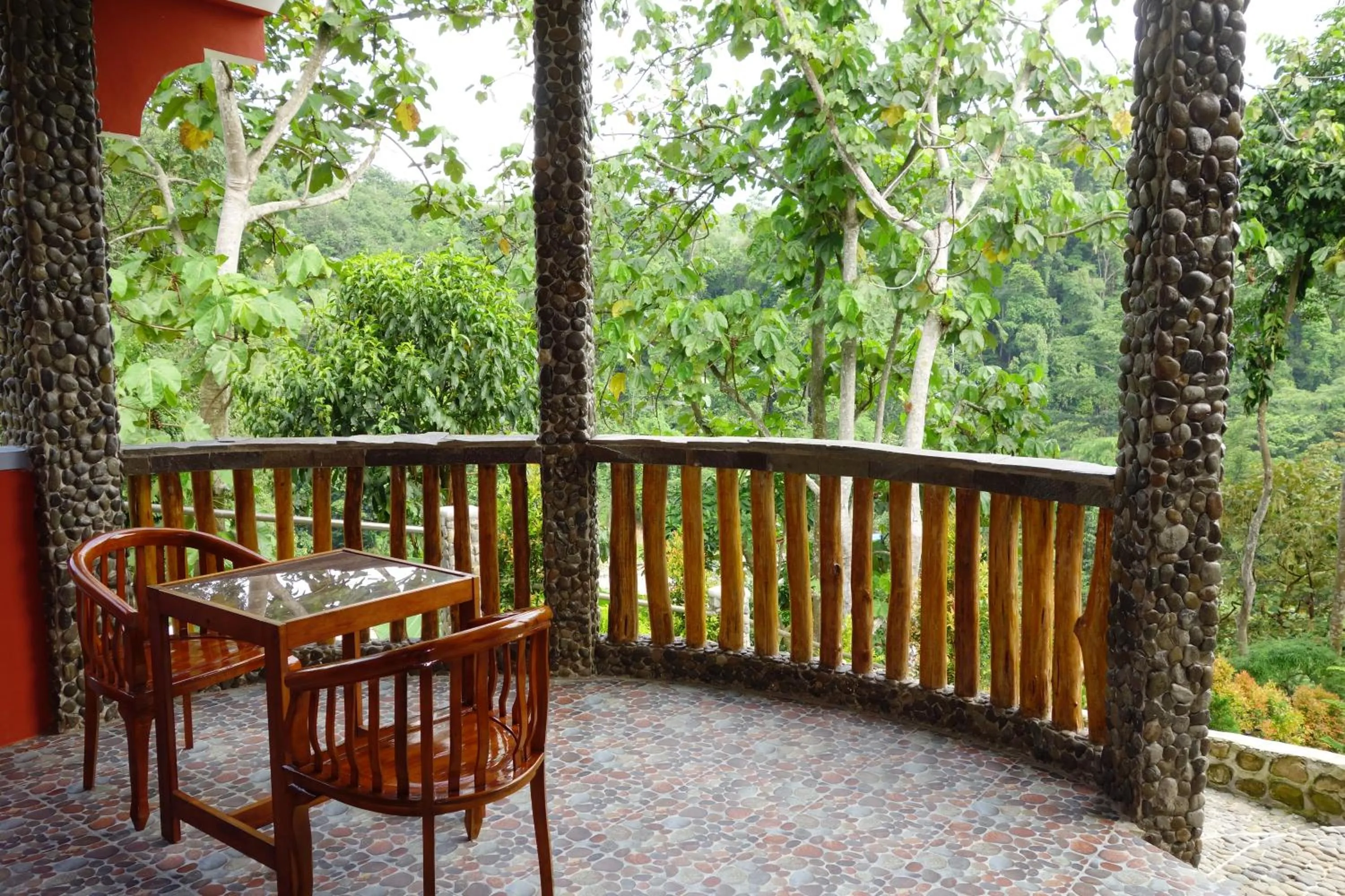 View (from property/room) in Hotel Orangutan