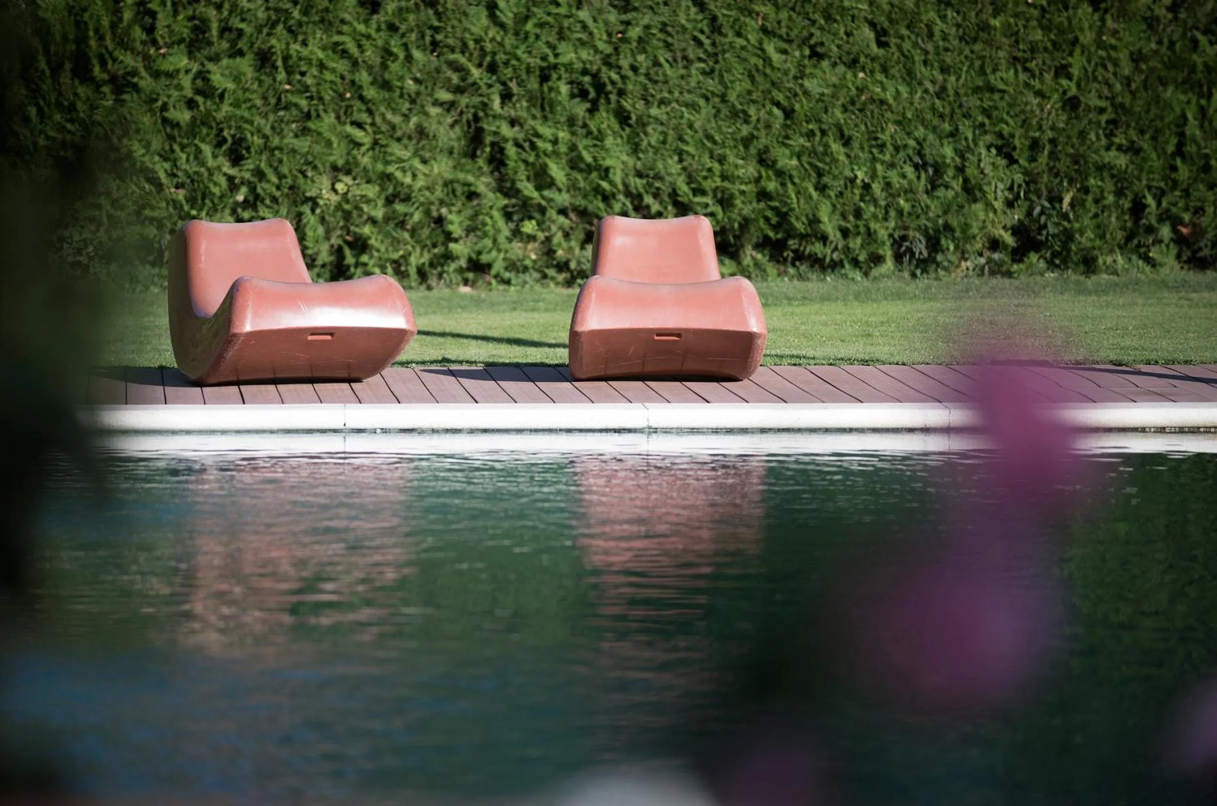 Garden in Hotel Florido