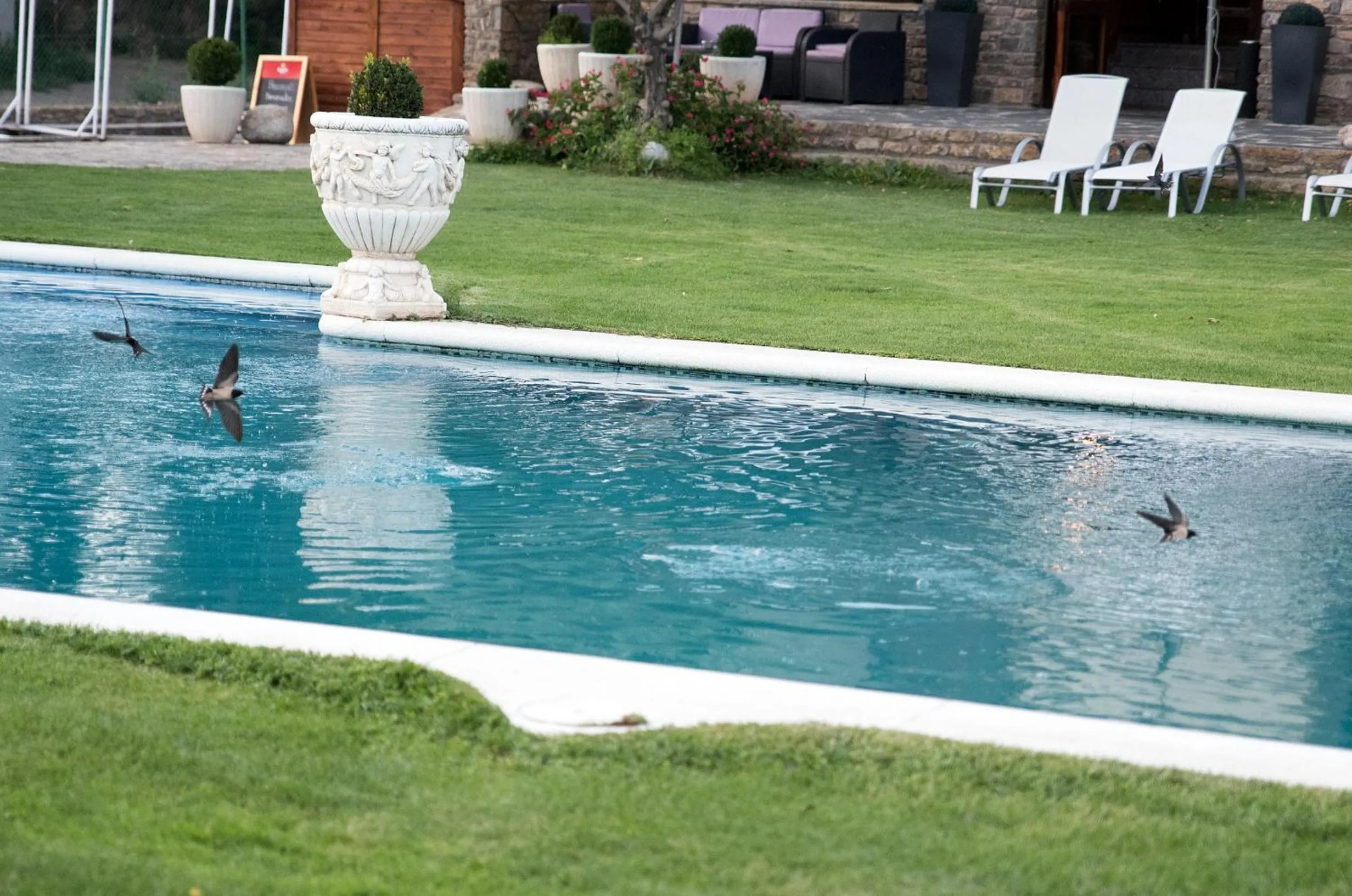 Swimming pool in Hotel Florido