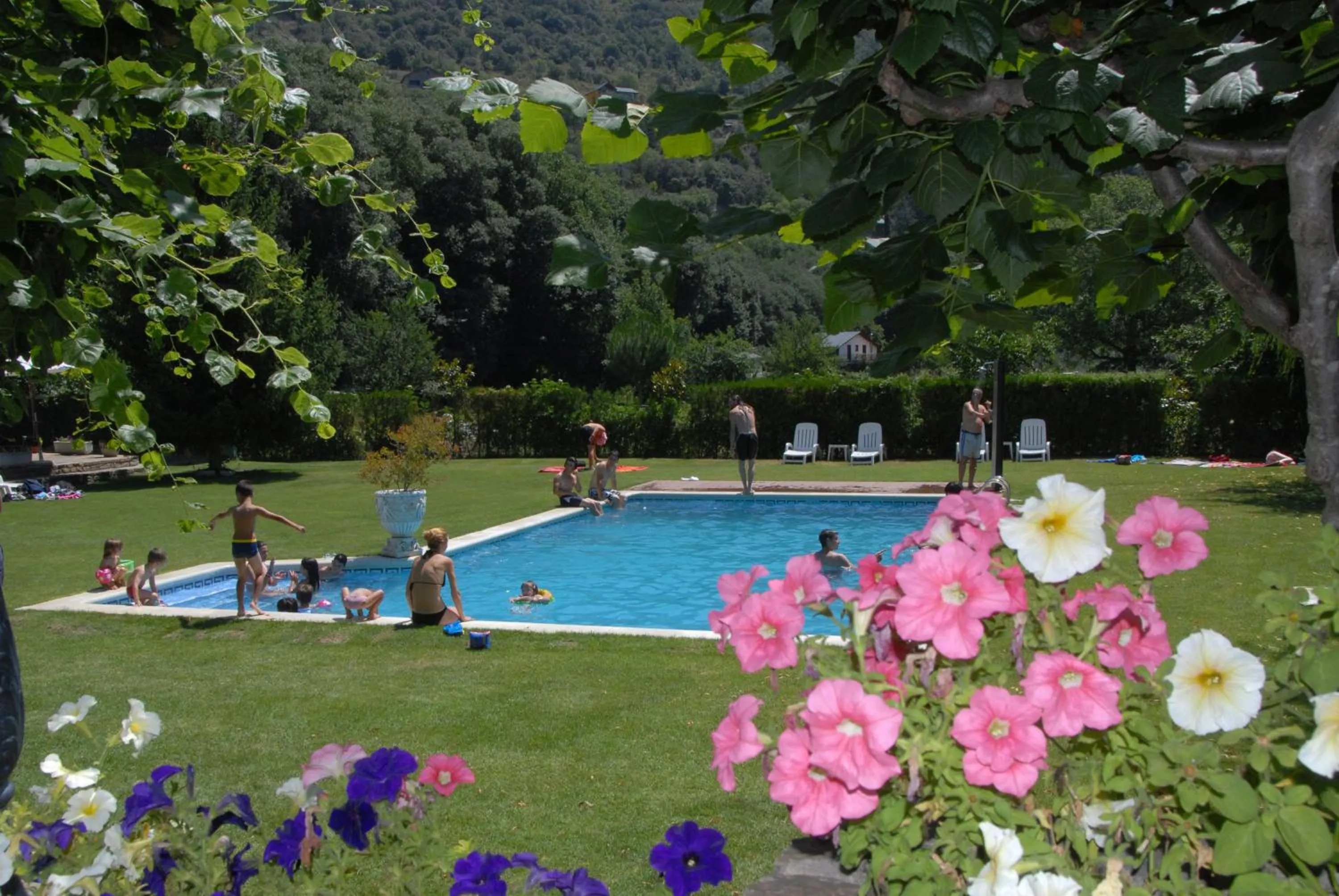 Garden in Hotel Florido