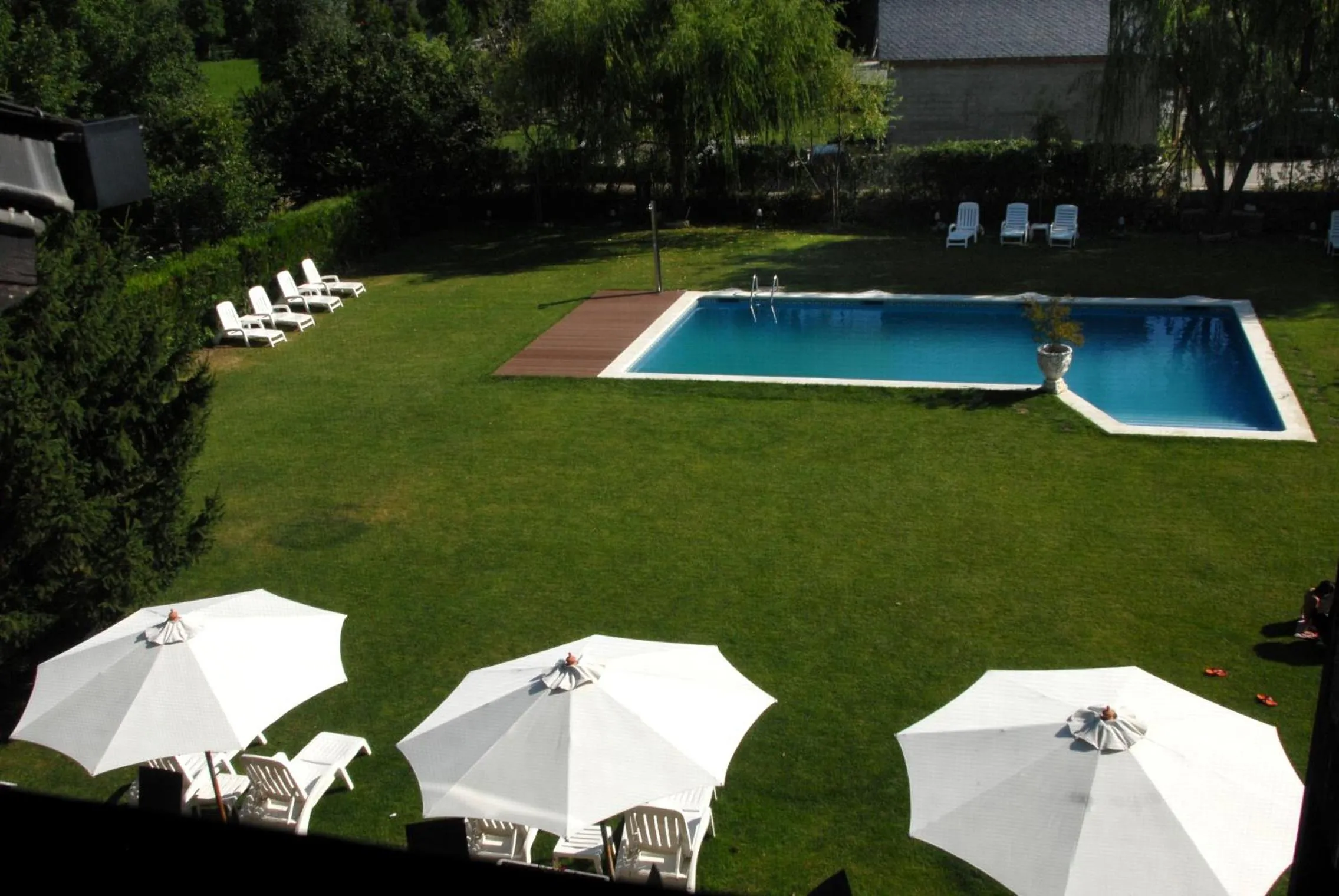 Garden in Hotel Florido