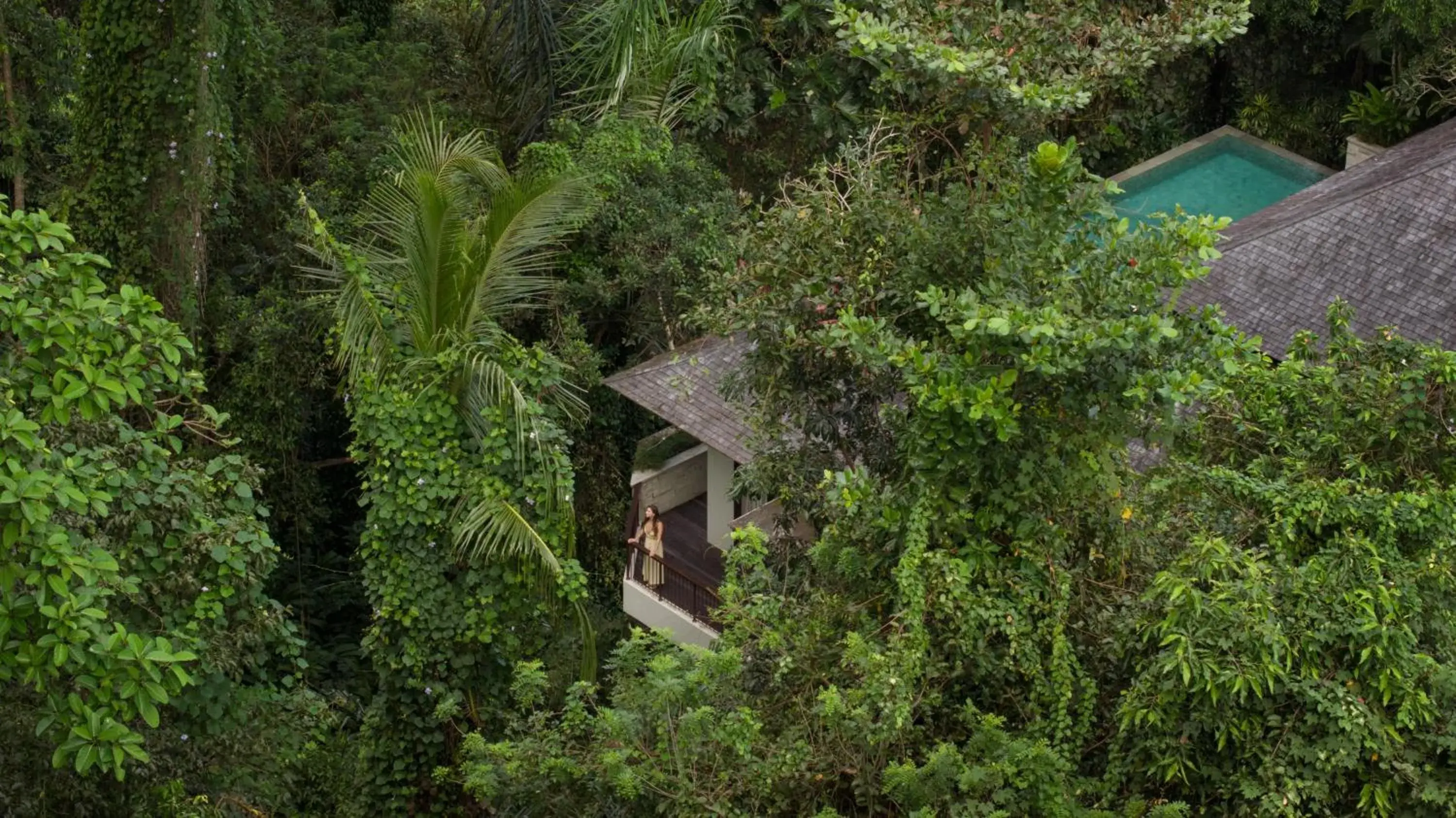 Pool view in Impiana Private Villas Ubud Pool view in Impiana Private Villas Ubud