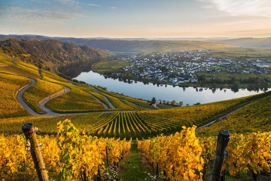 Natural landscape in Hotel- Weingut- Moselloreley