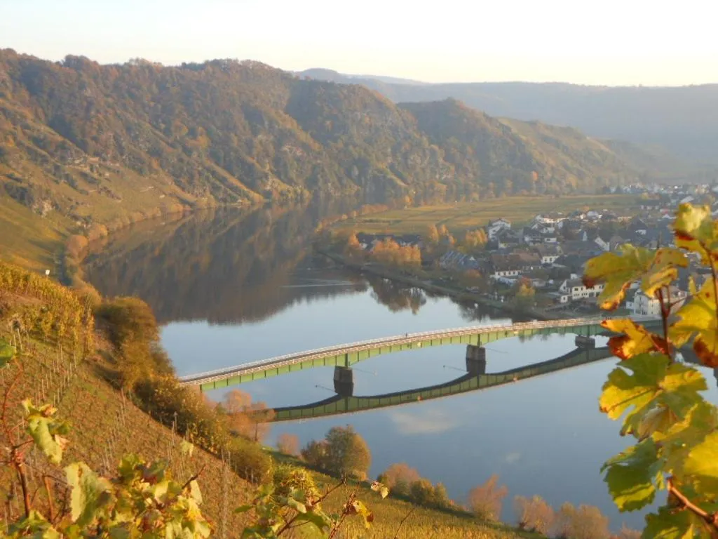 Other in Hotel- Weingut- Moselloreley