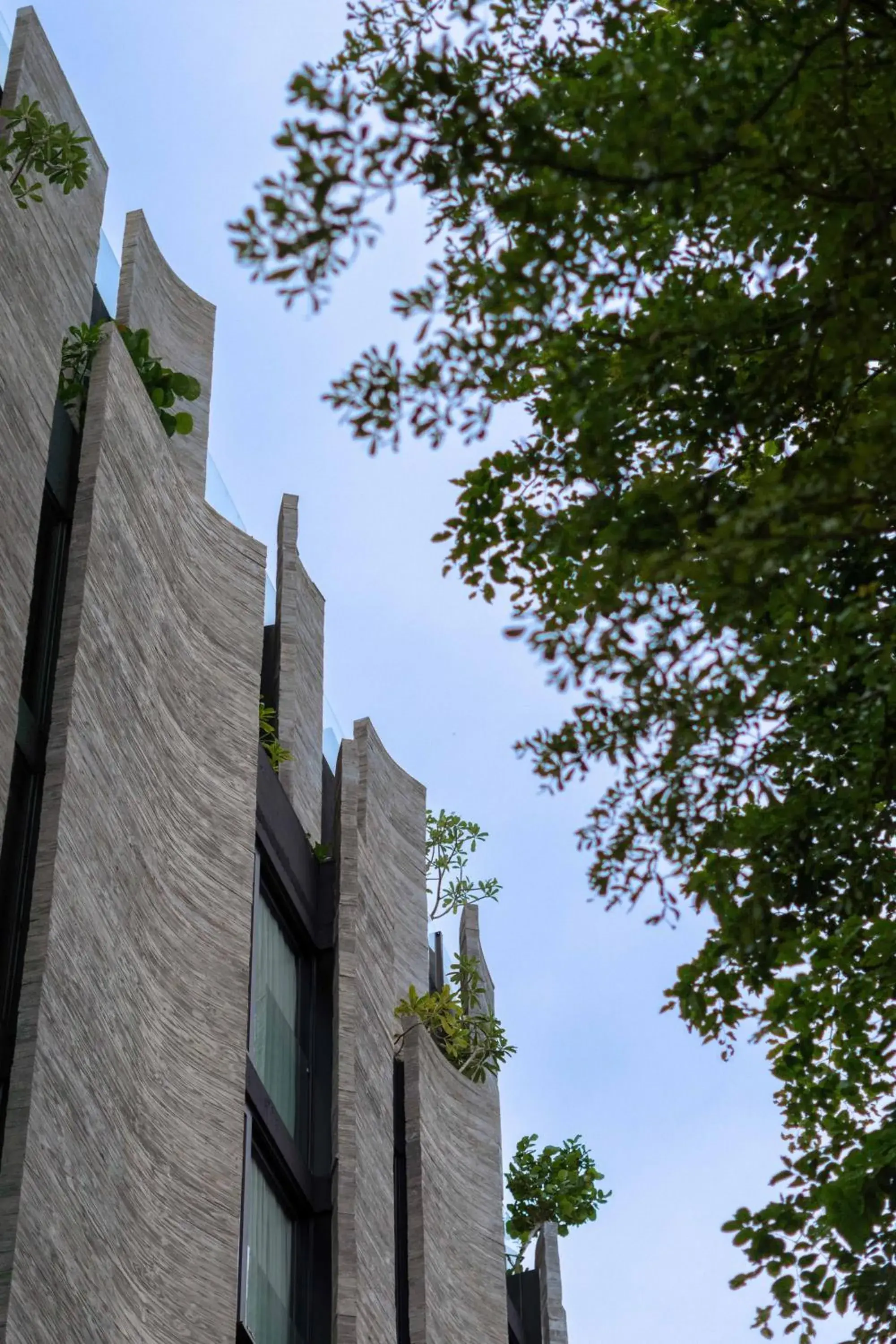 Property building in Hôtel de Soie Property building in Hôtel de Soie