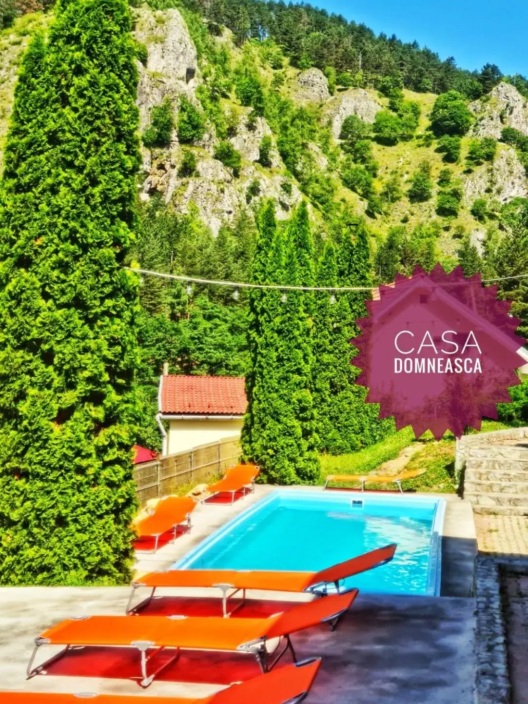 Casa Domneasca Casa Domneasca