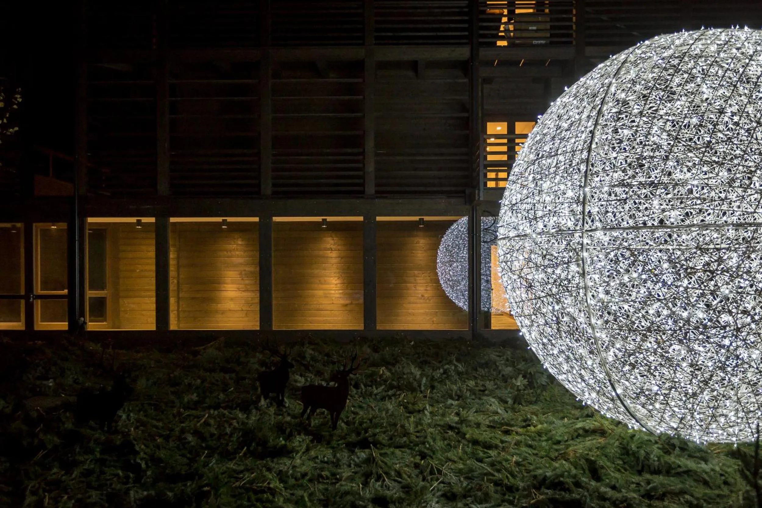 Night in NH Collection Alagna Mirtillo Rosso