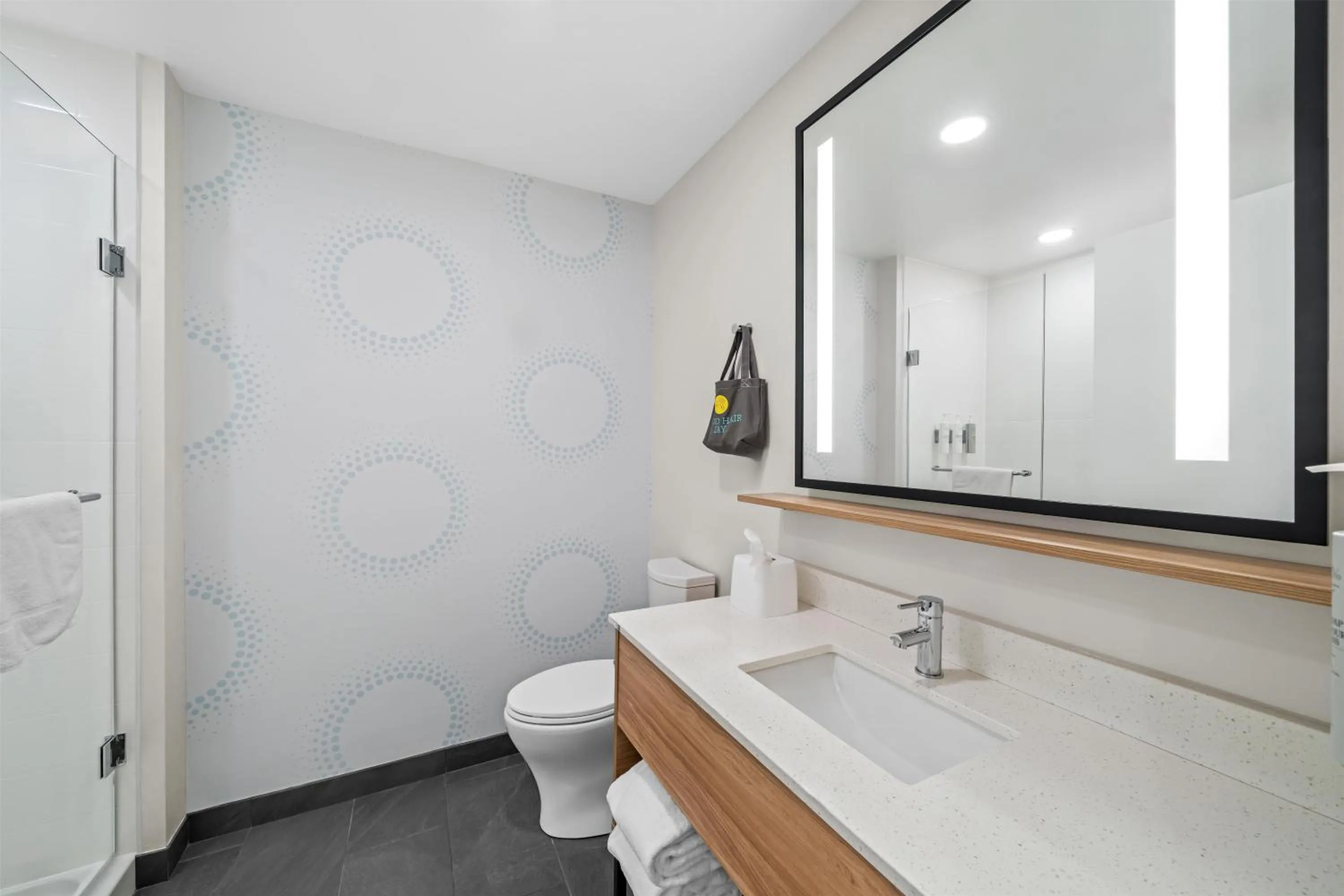 Bathroom in Tru By Hilton Oshawa