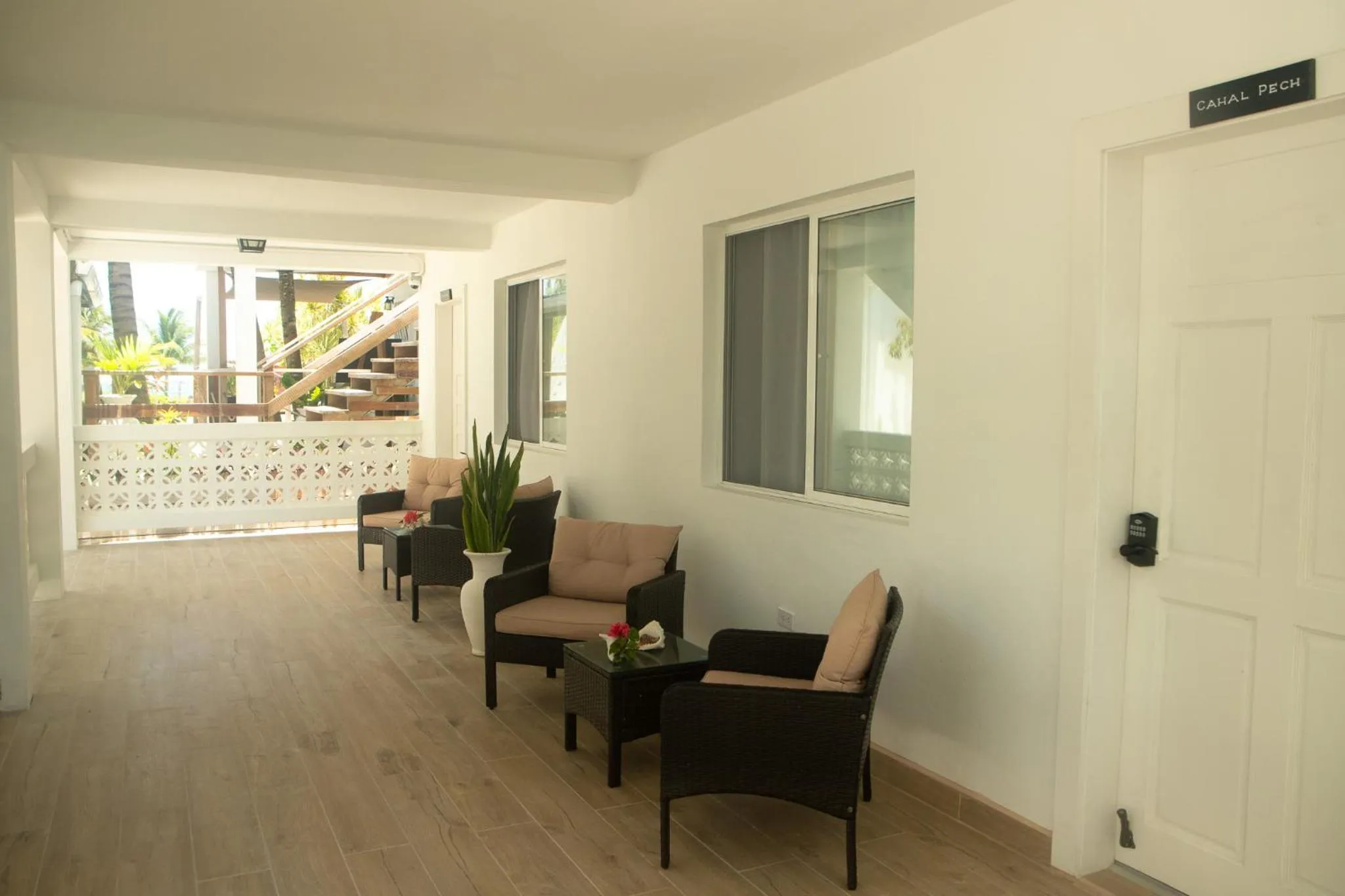 Balcony/Terrace in Treetops Hotel