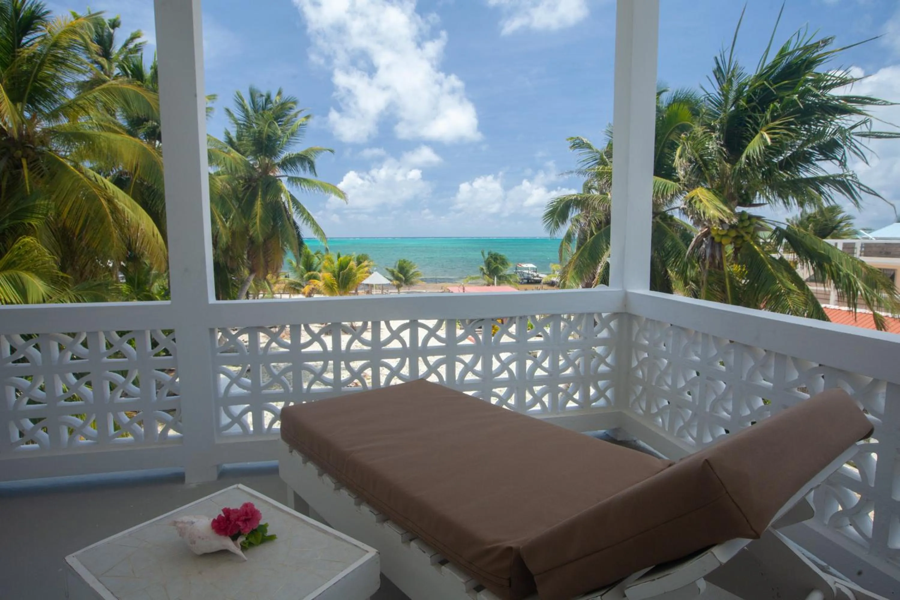 Balcony/Terrace in Treetops Hotel