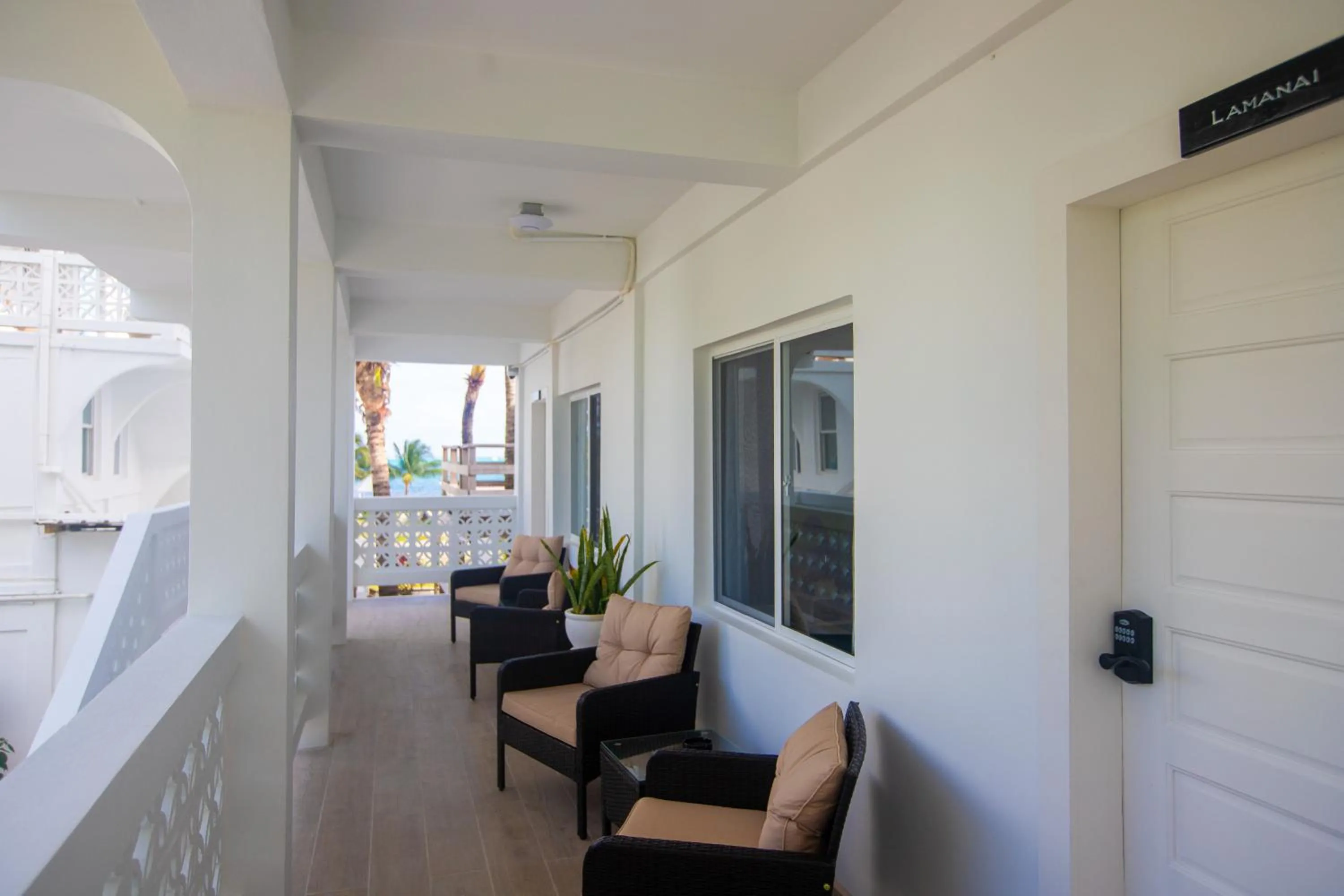 Balcony/Terrace in Treetops Hotel