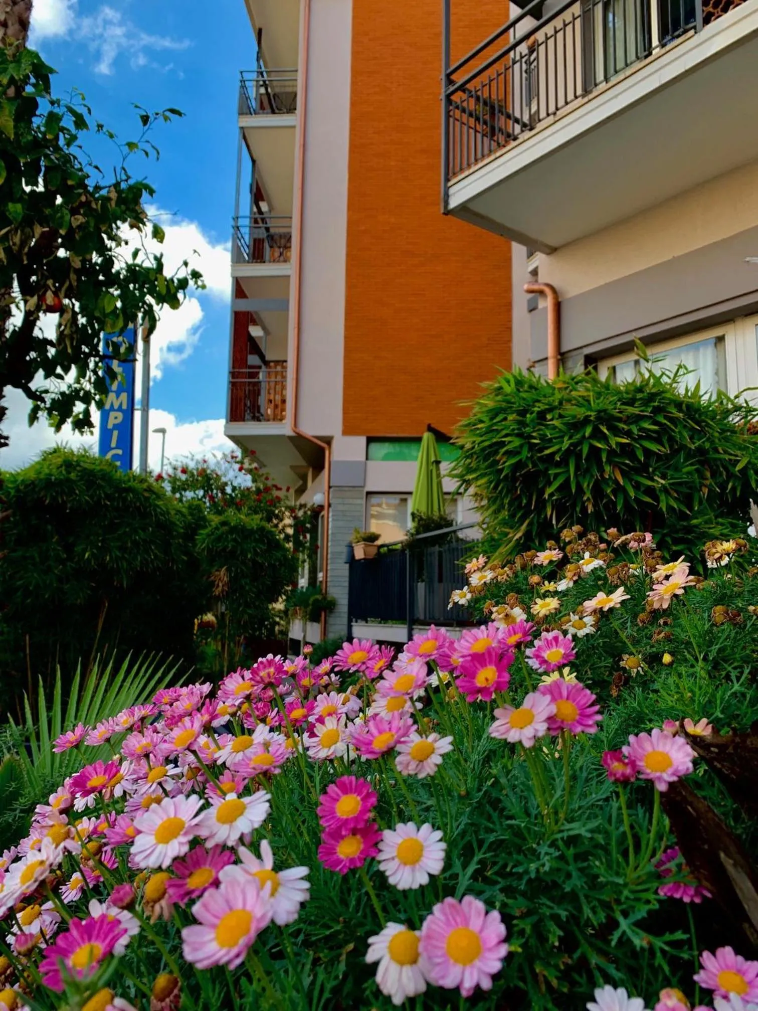 Property building in Hotel Olympic