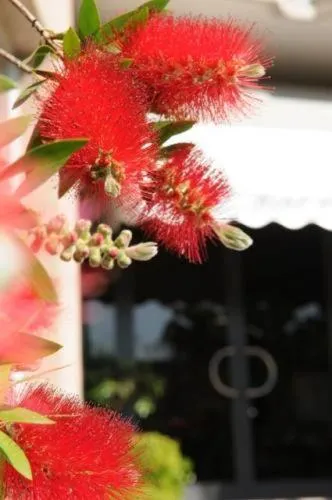 Other in Hotel Olympic