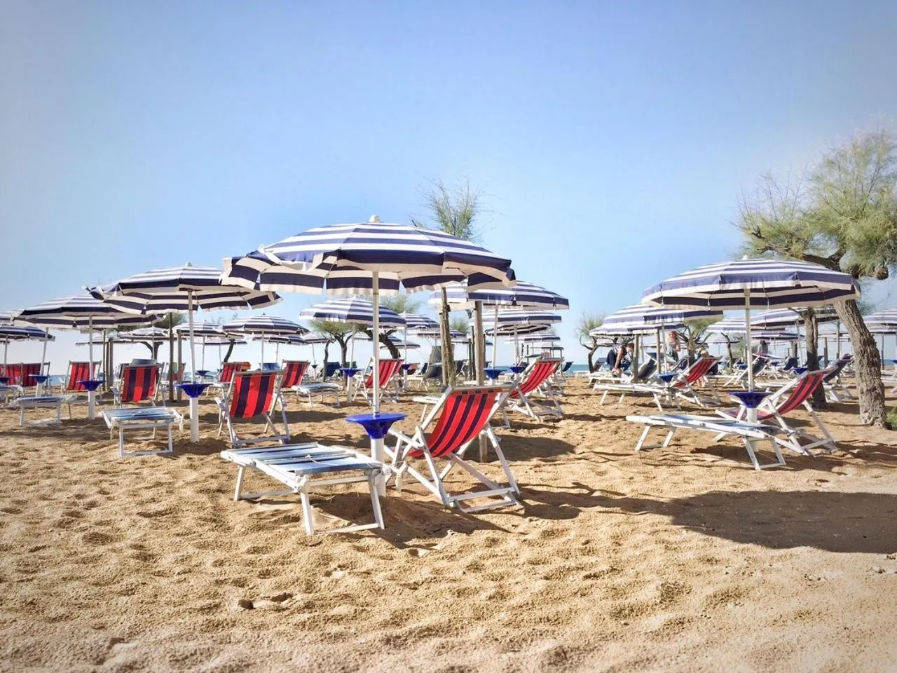 Beach in Hotel Fenix