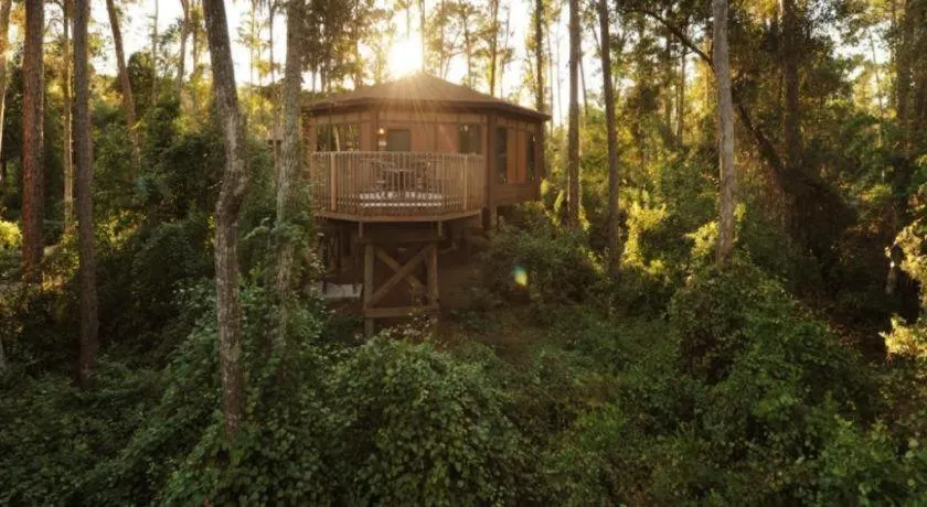 Disney's Saratoga Springs Resort & Spa