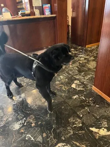 Hotel Bergamo Mare Mhotelsgroup