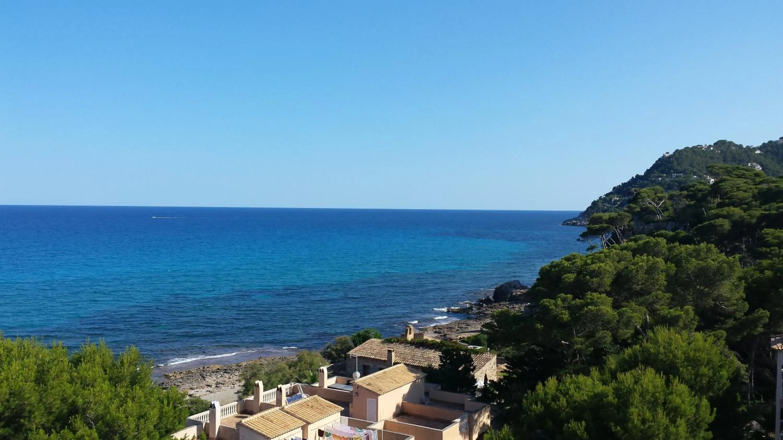 View (from property/room) in Canyamel Classic & Spa, solo Adultos