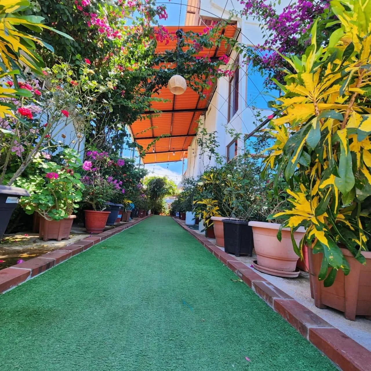 Garden in La Casa De Mi Sub