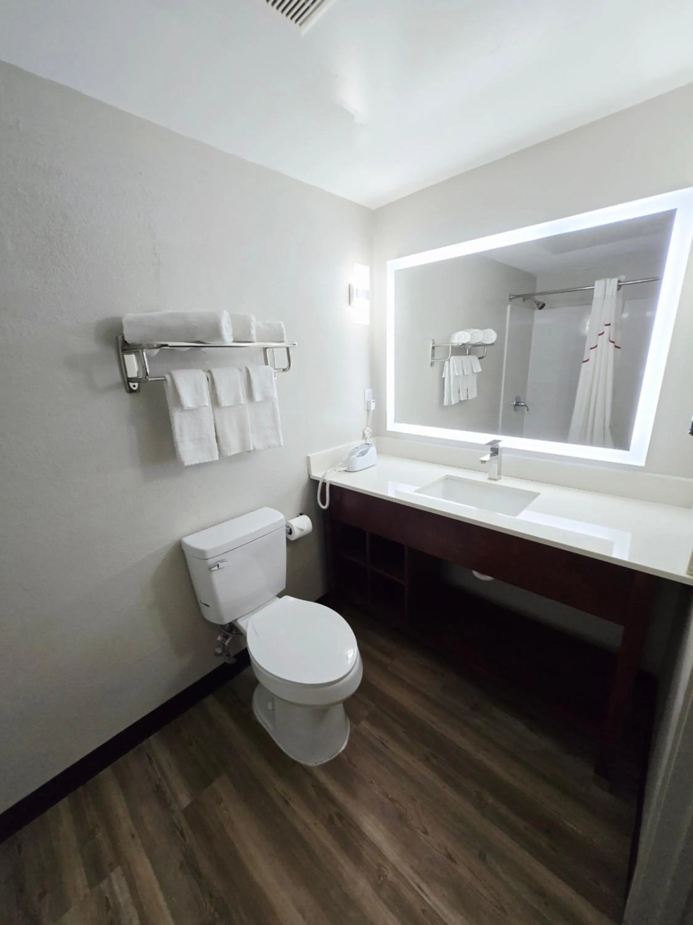 Toilet in Fulton Hotel - Oswego Riverfront